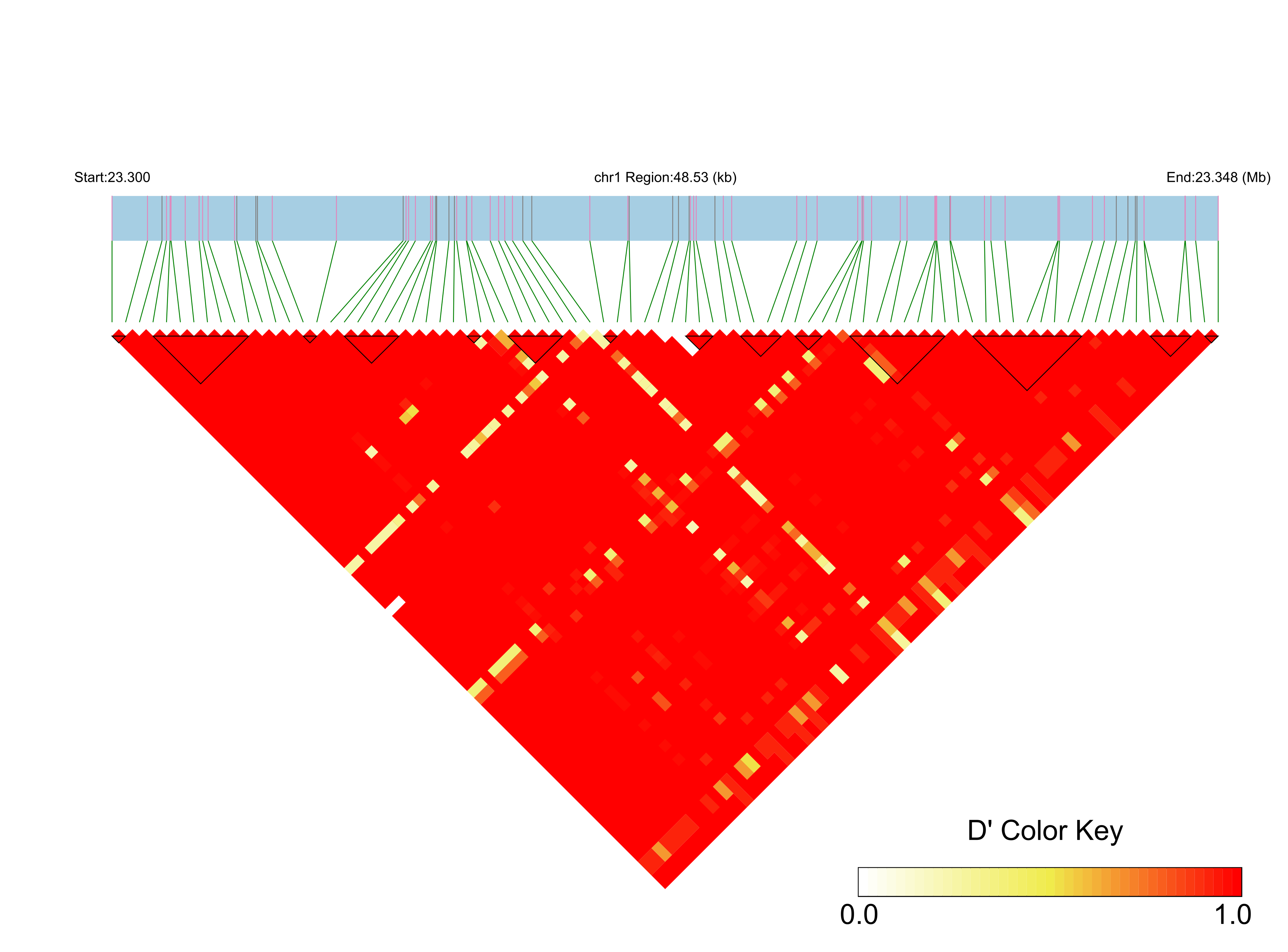 LD