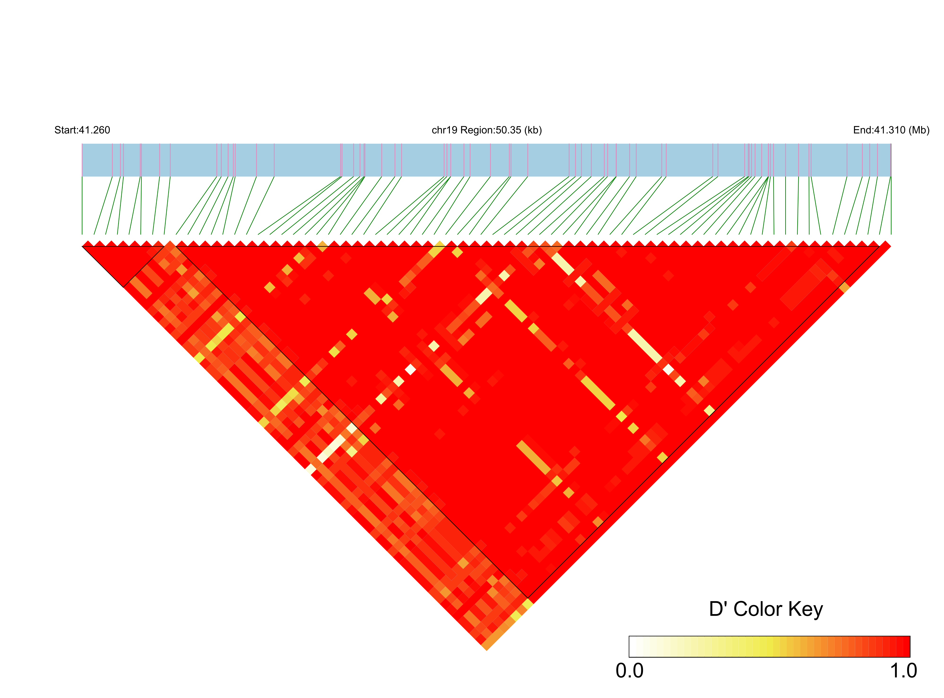 LD