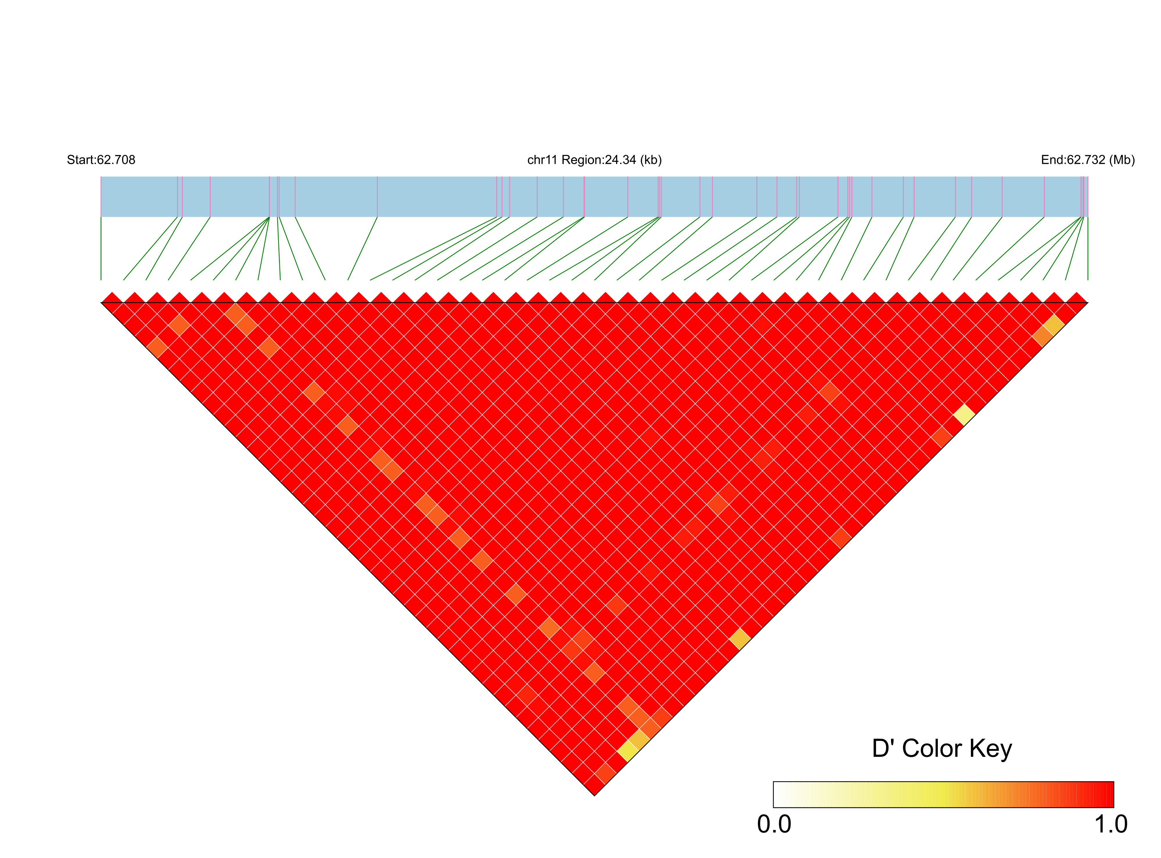 LD