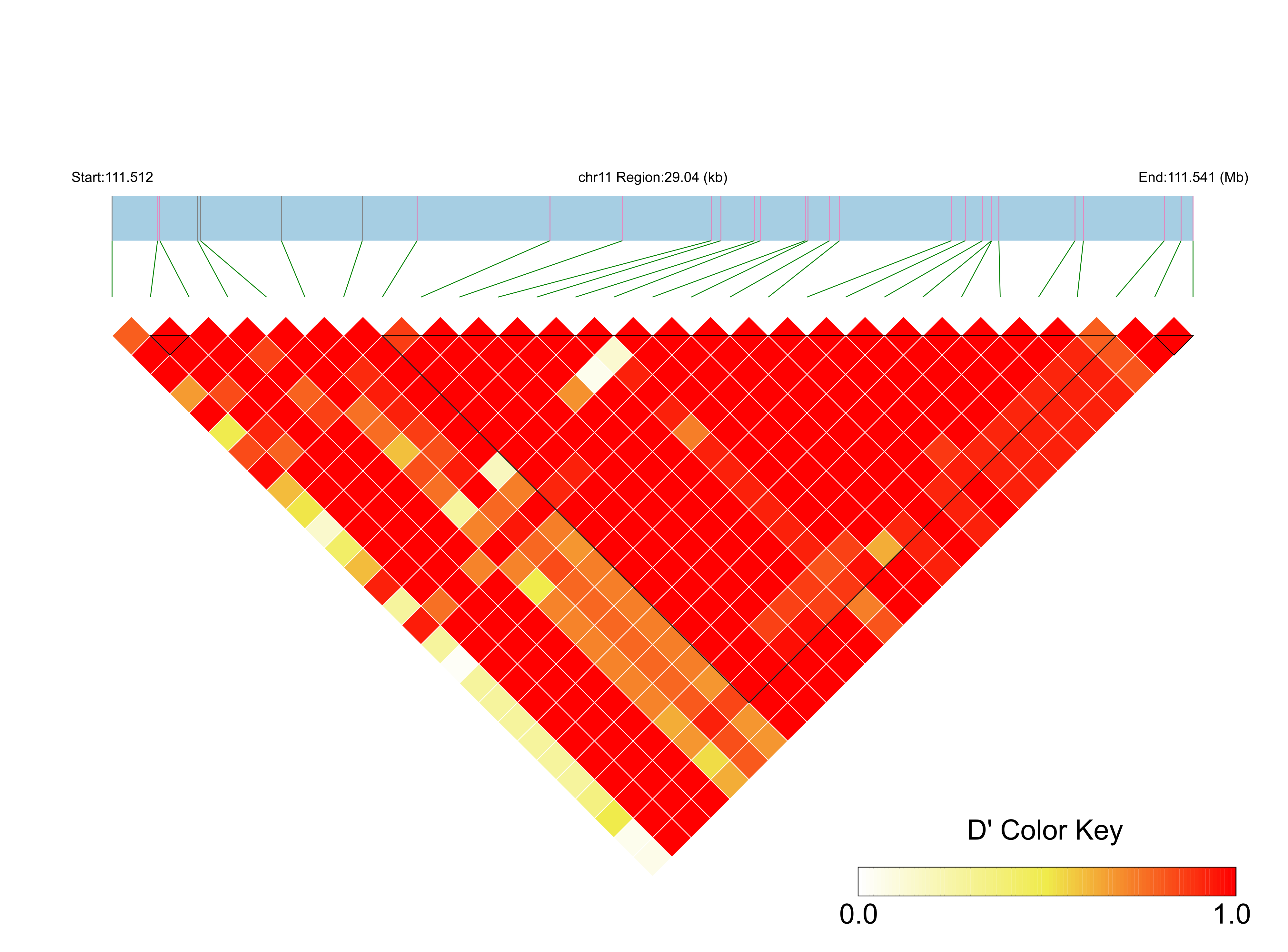 LD