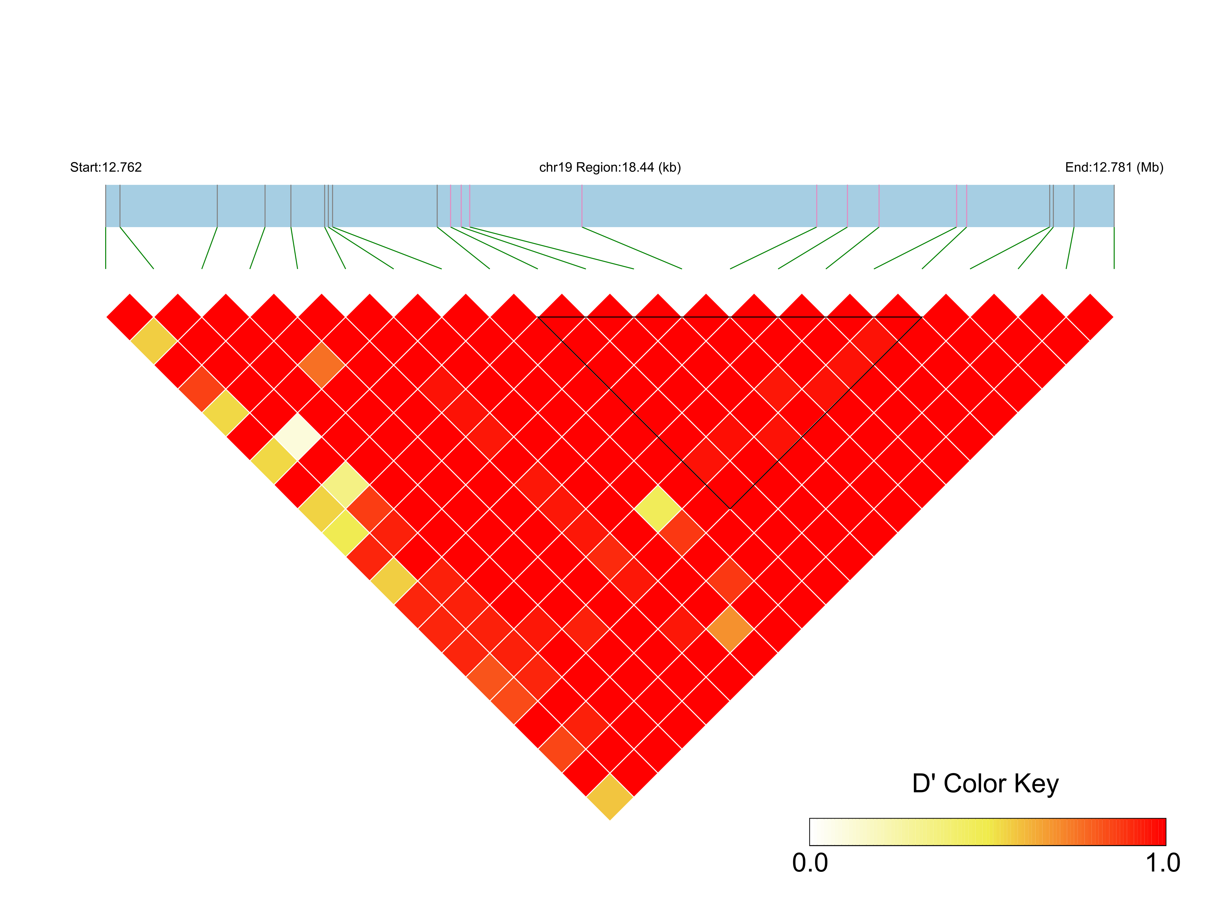 LD