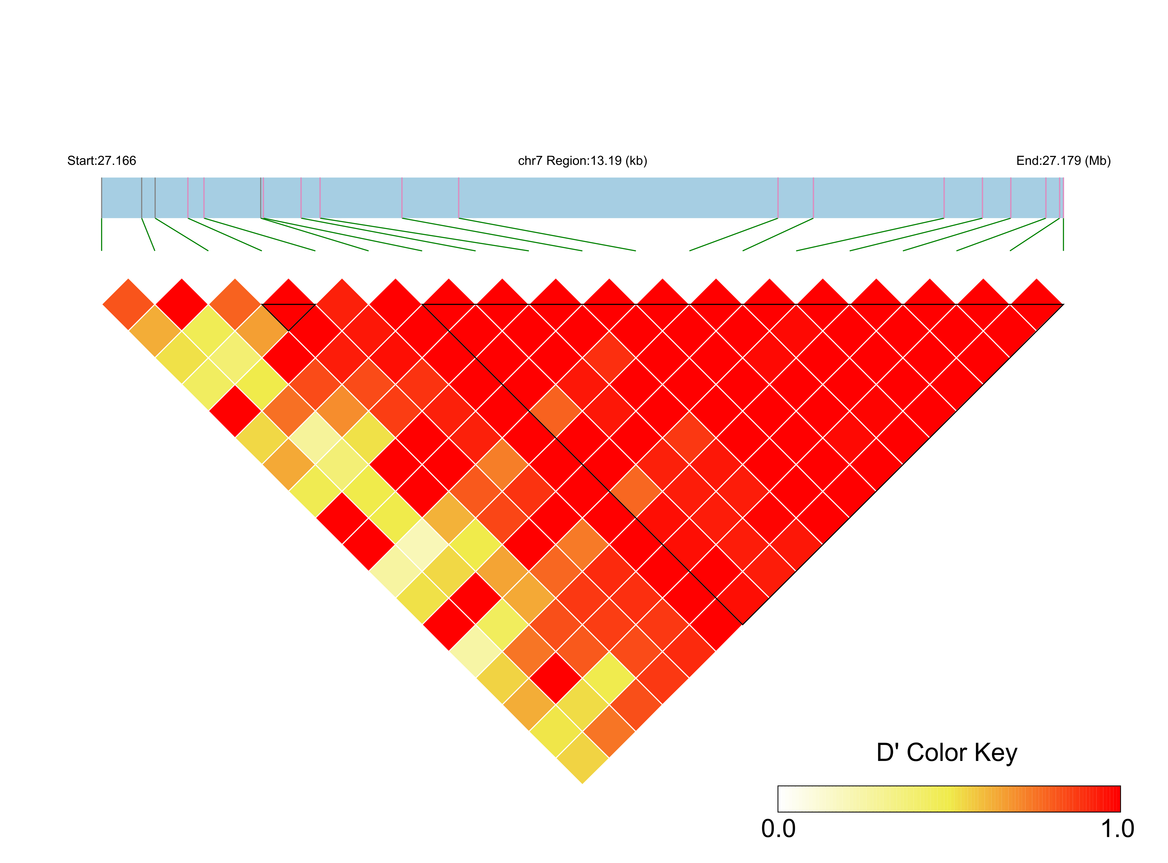 LD