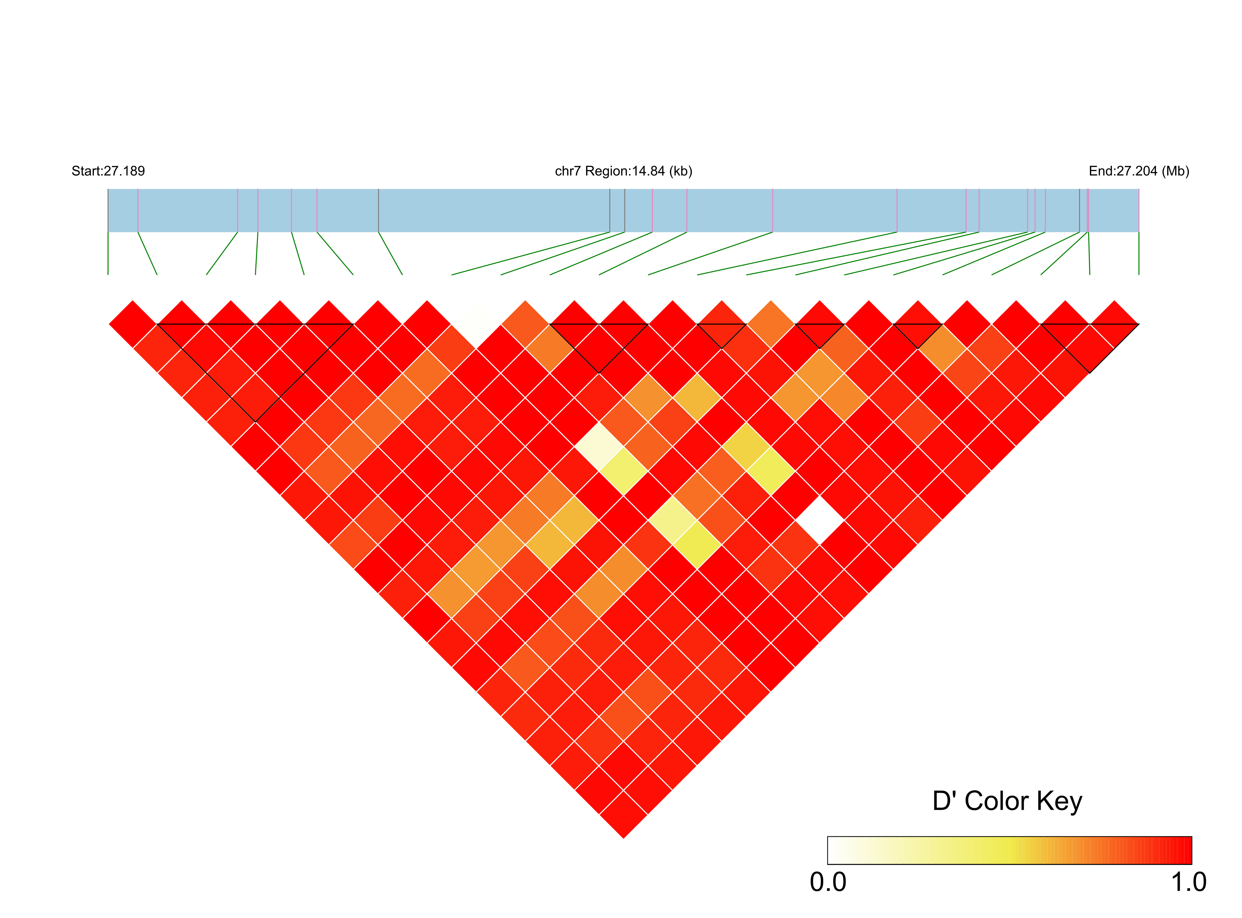 LD