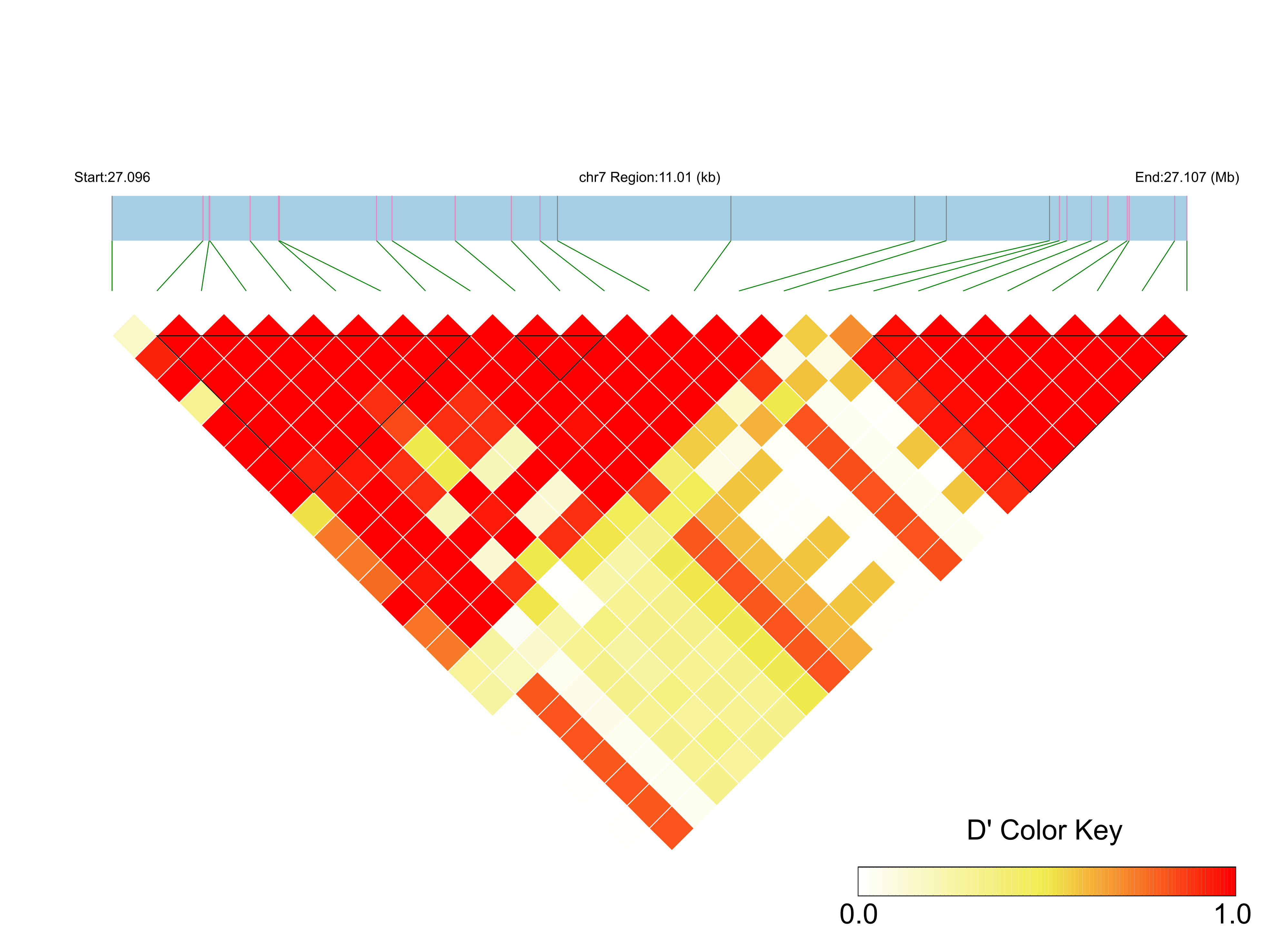 LD