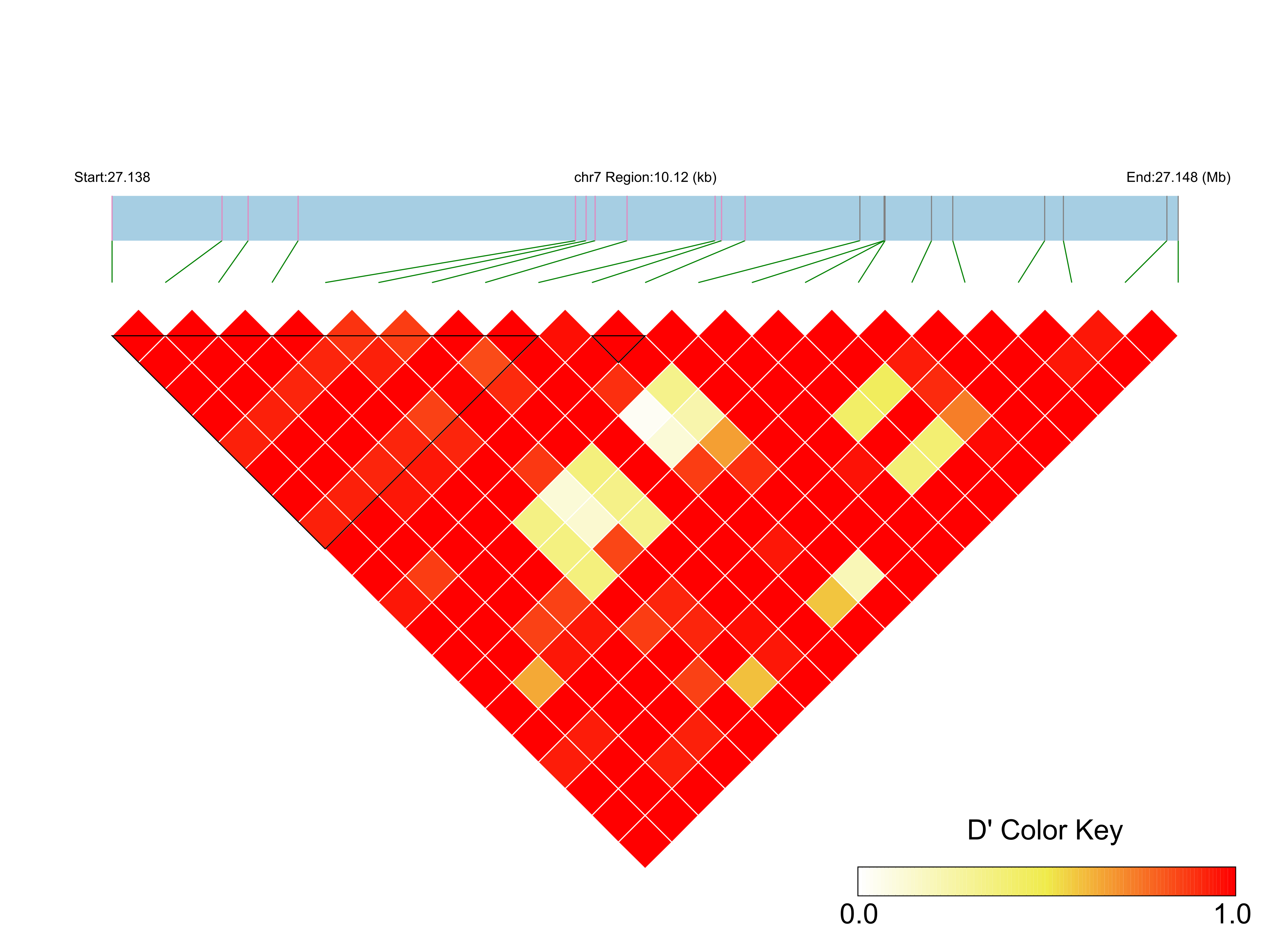 LD