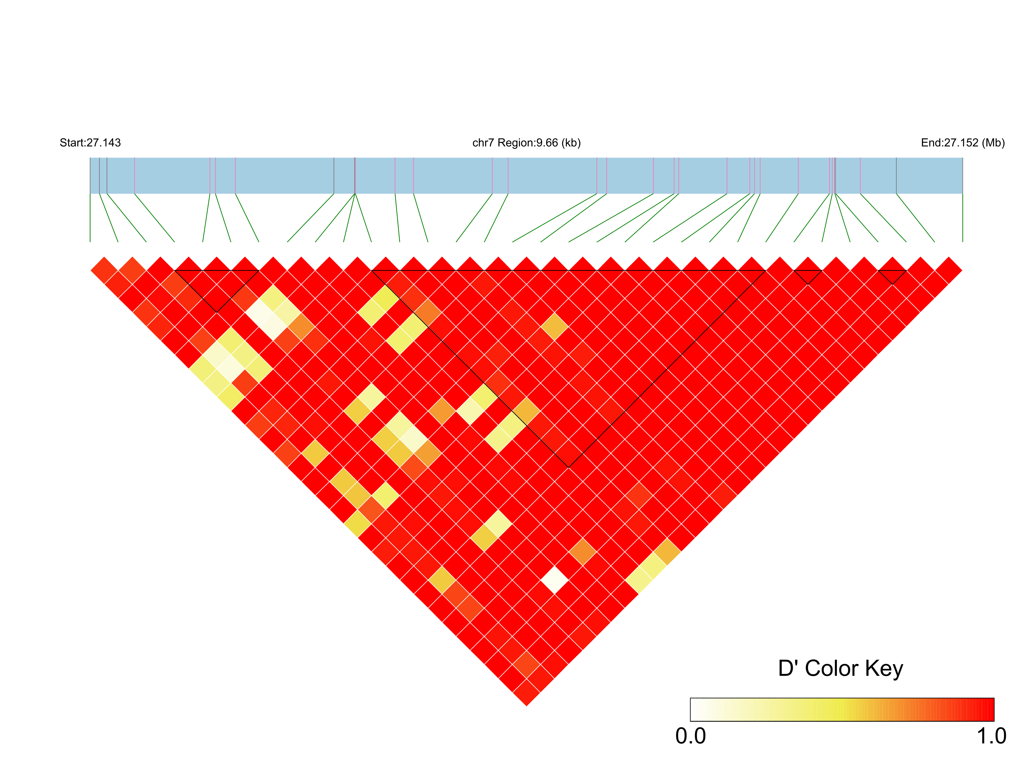 LD