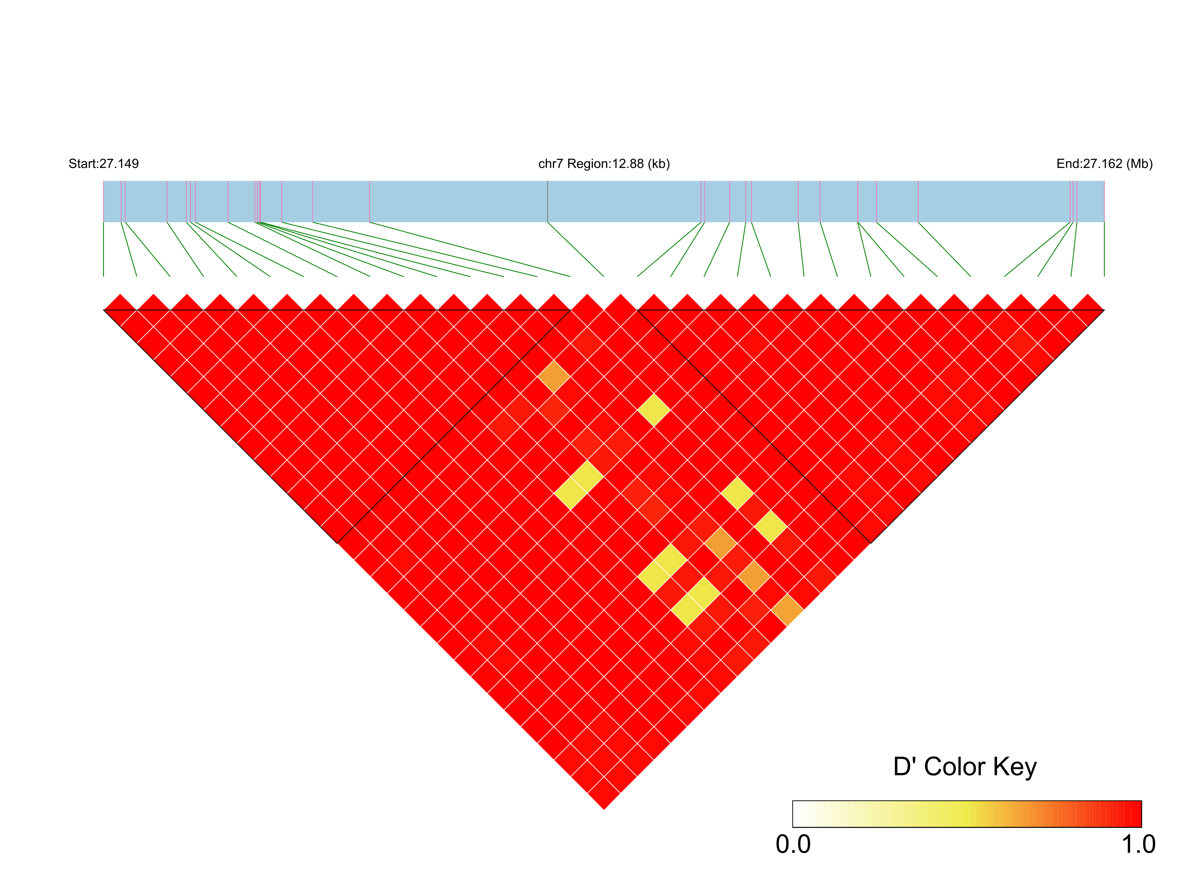 LD