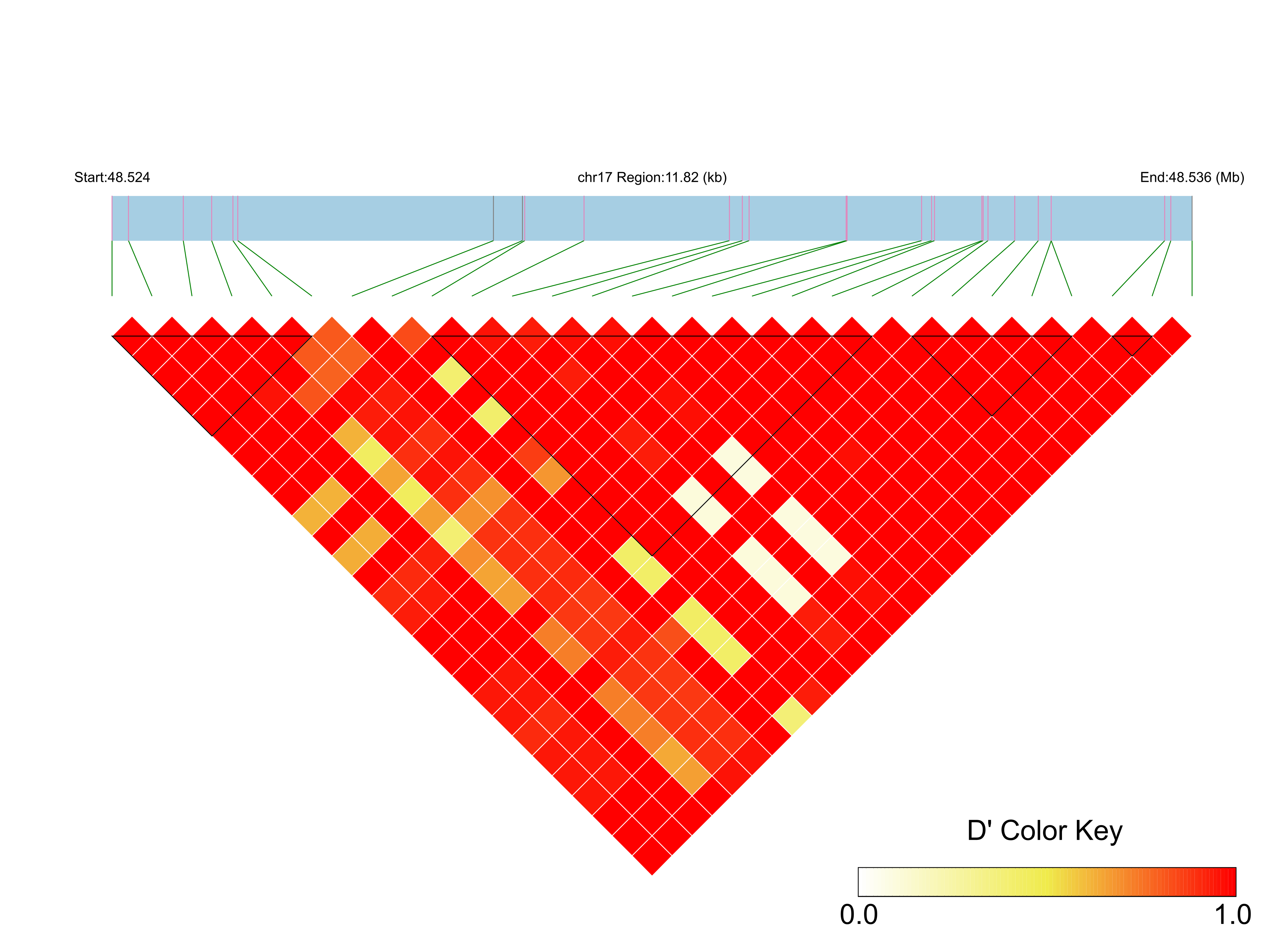 LD