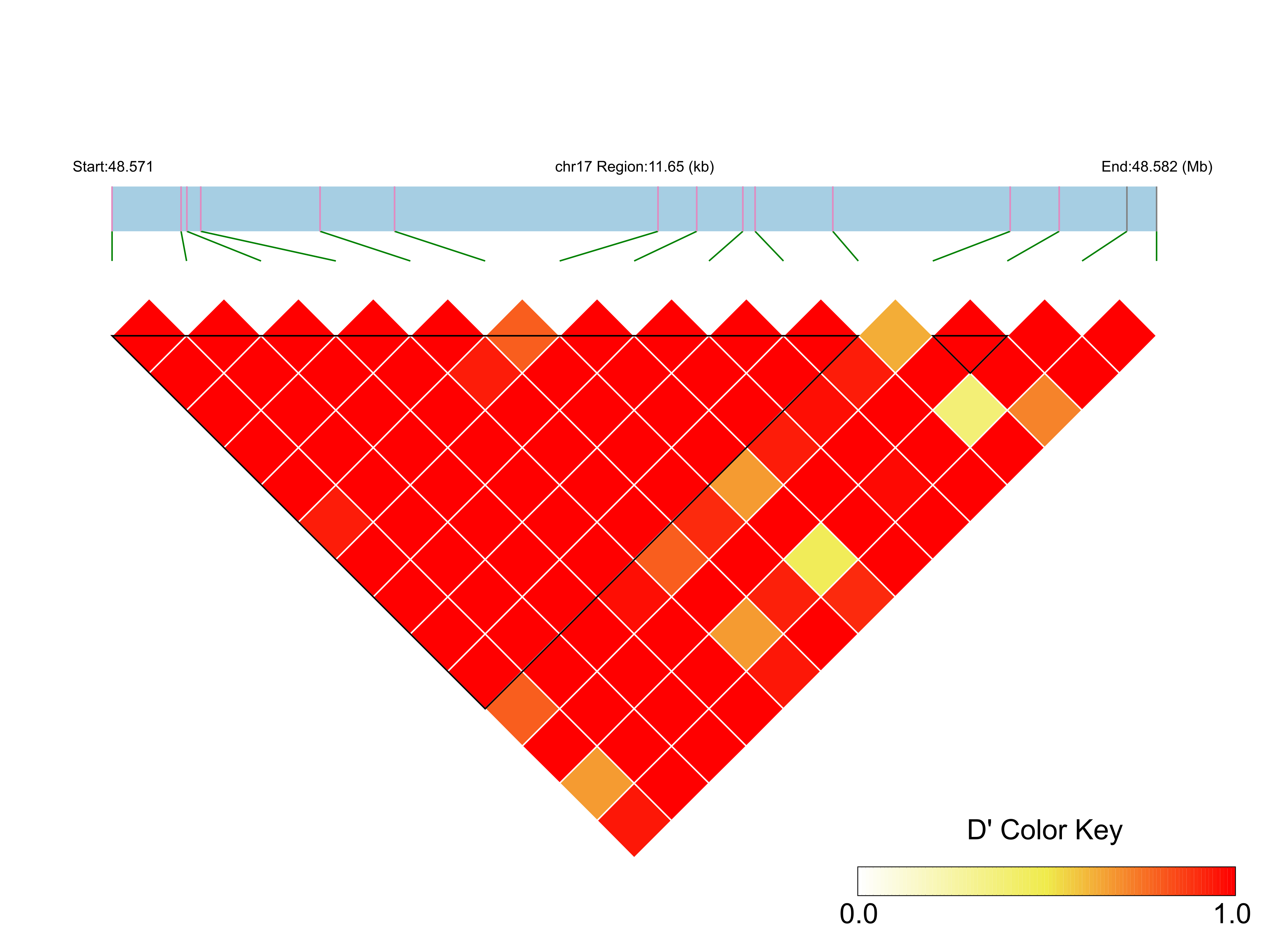 LD