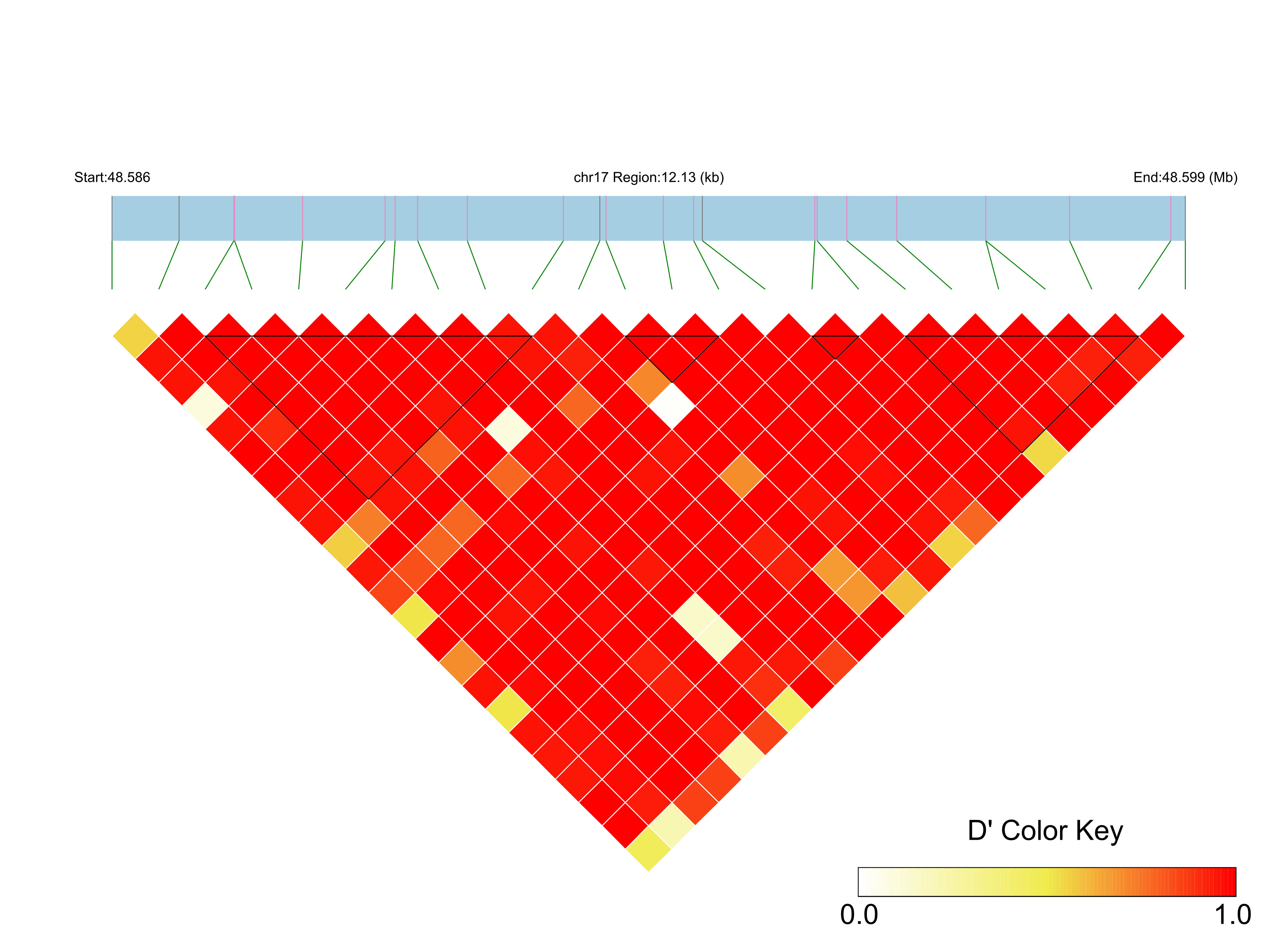 LD