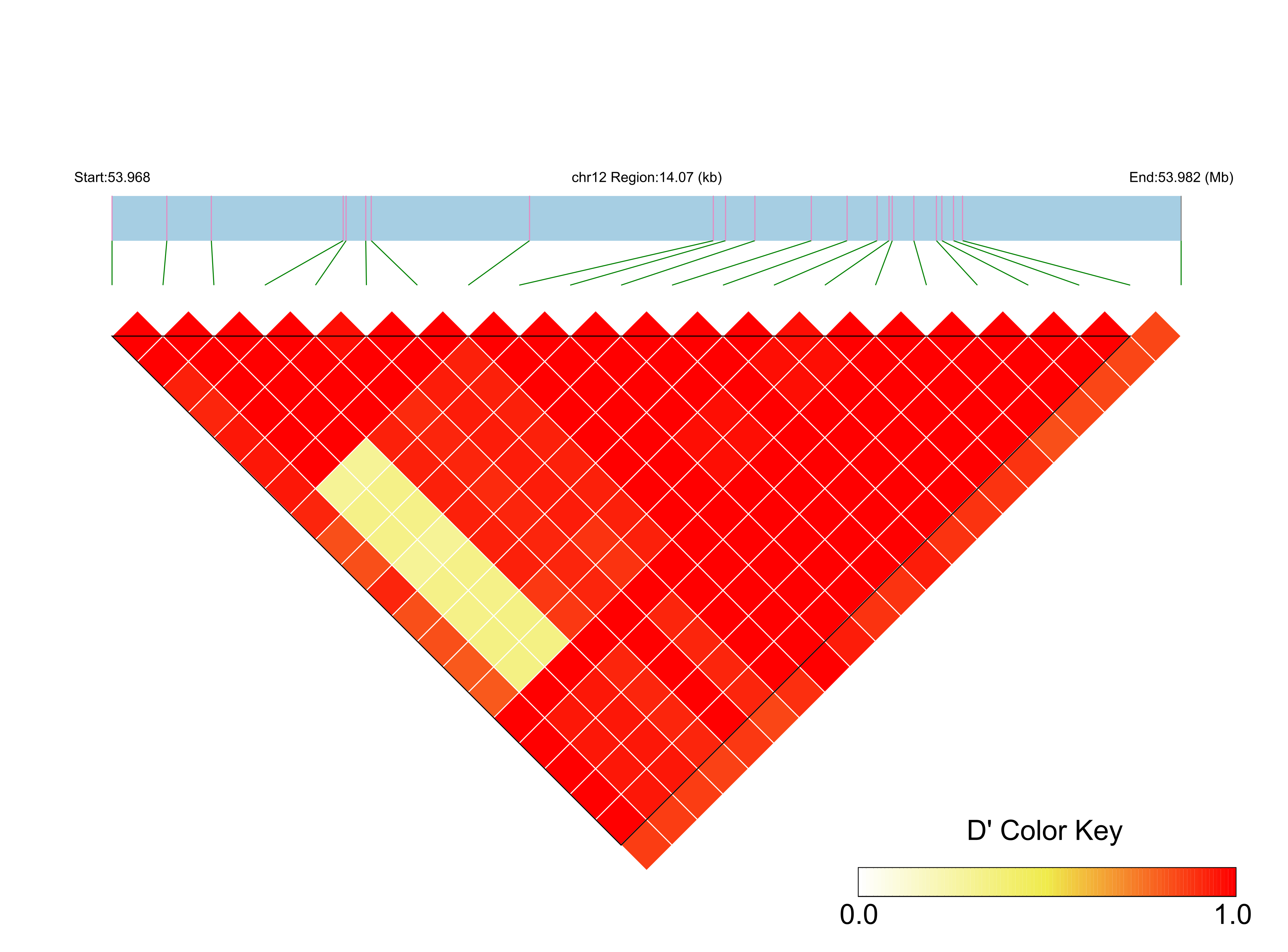 LD