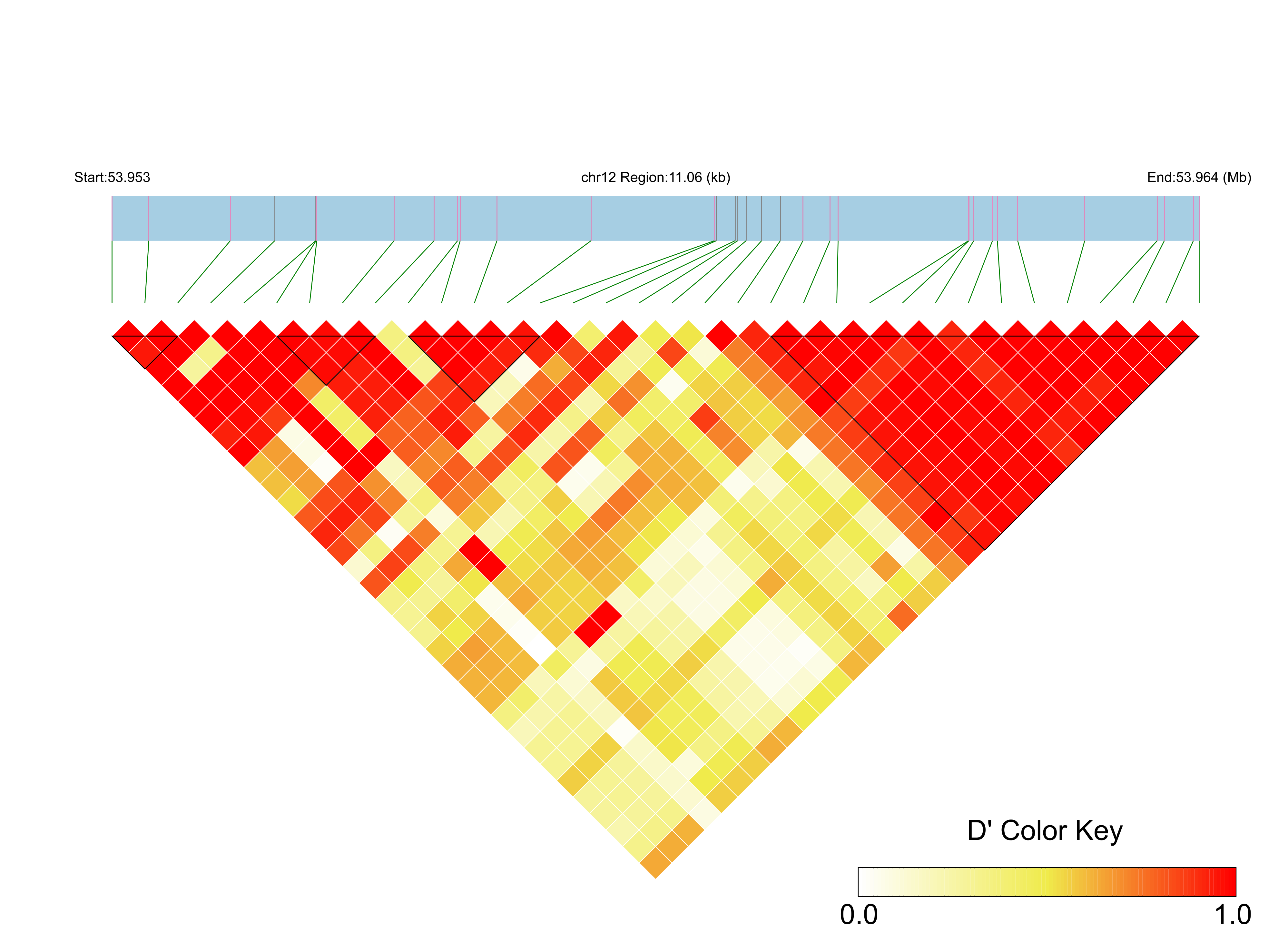 LD