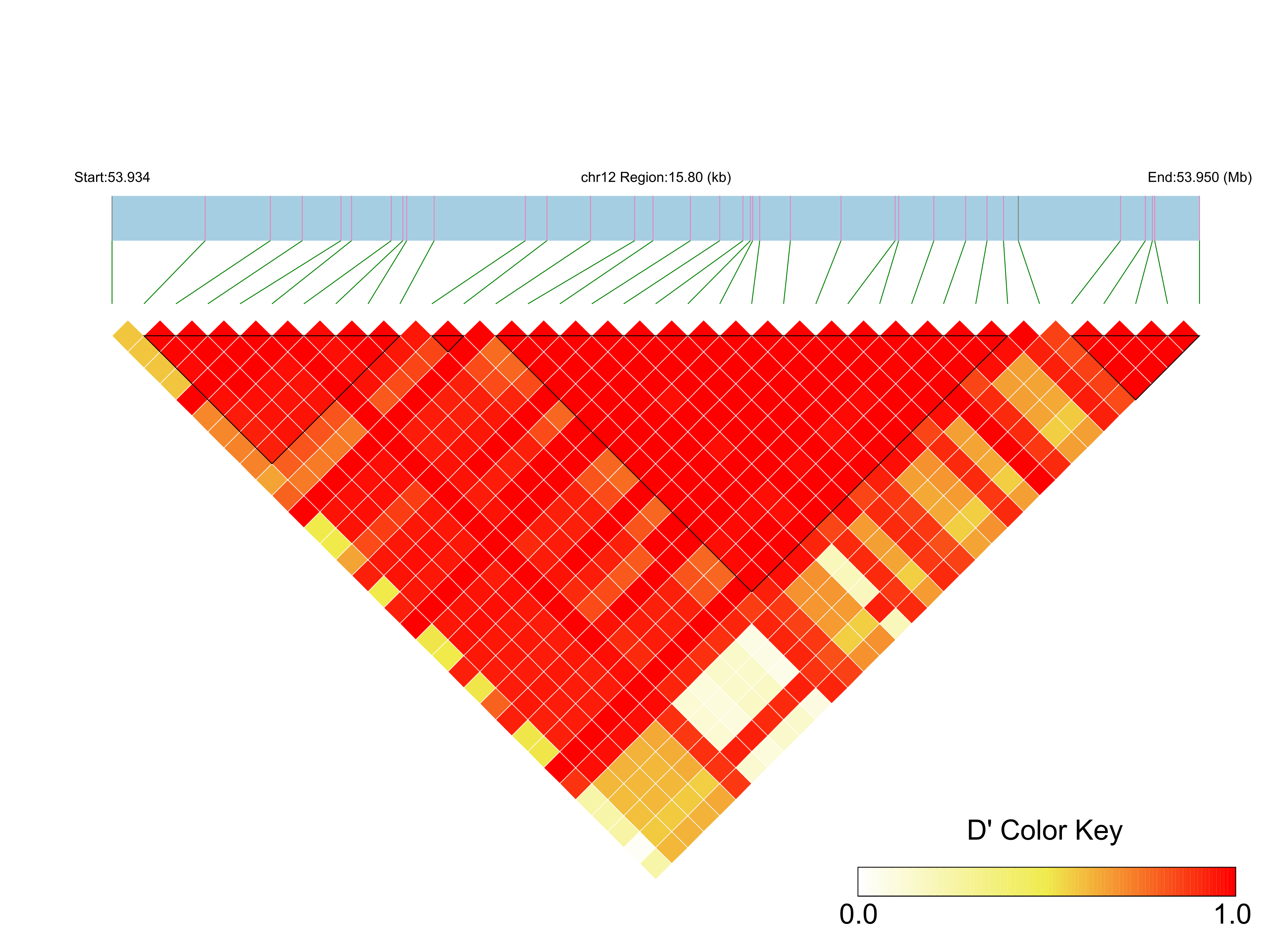 LD