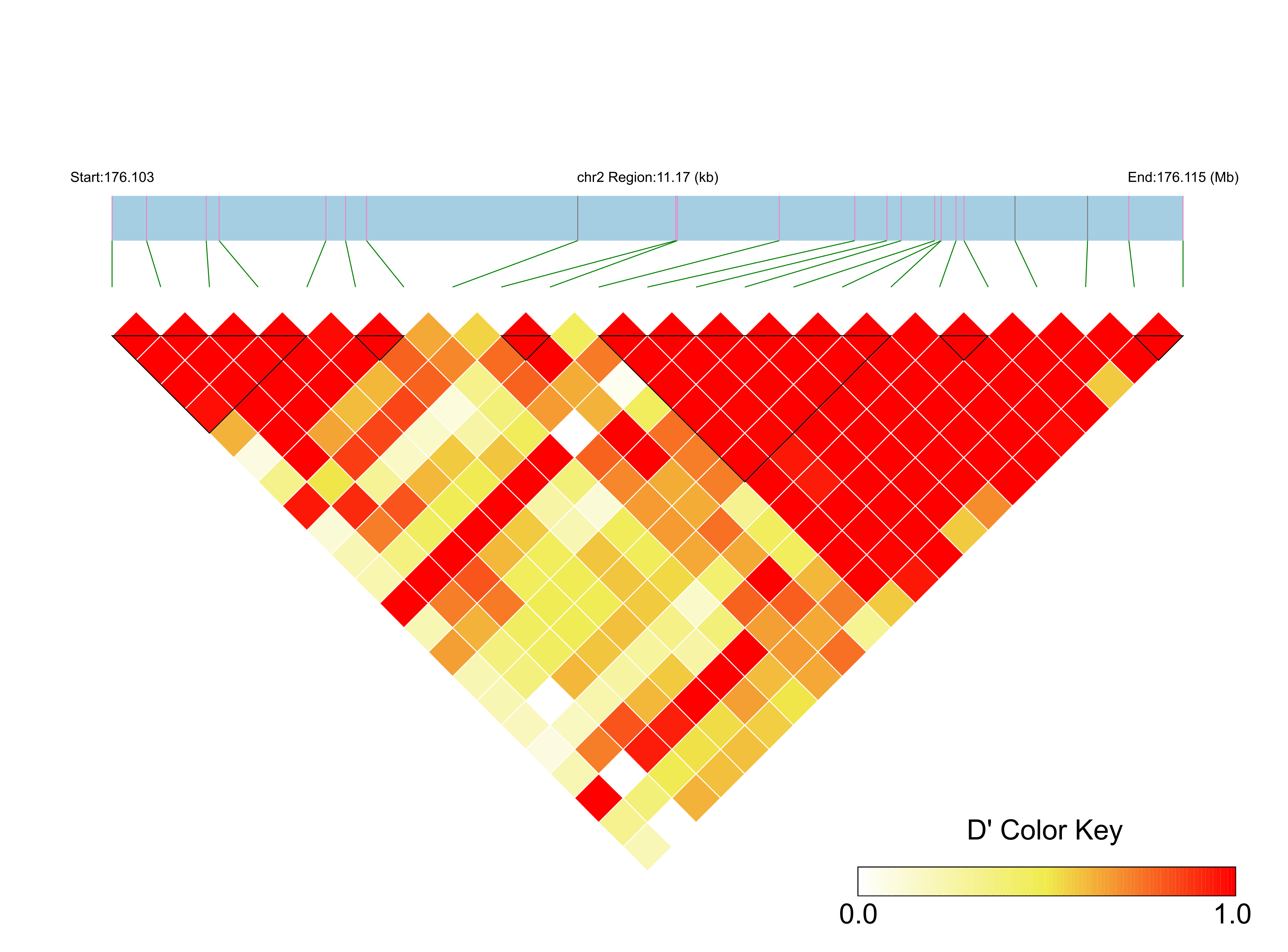 LD
