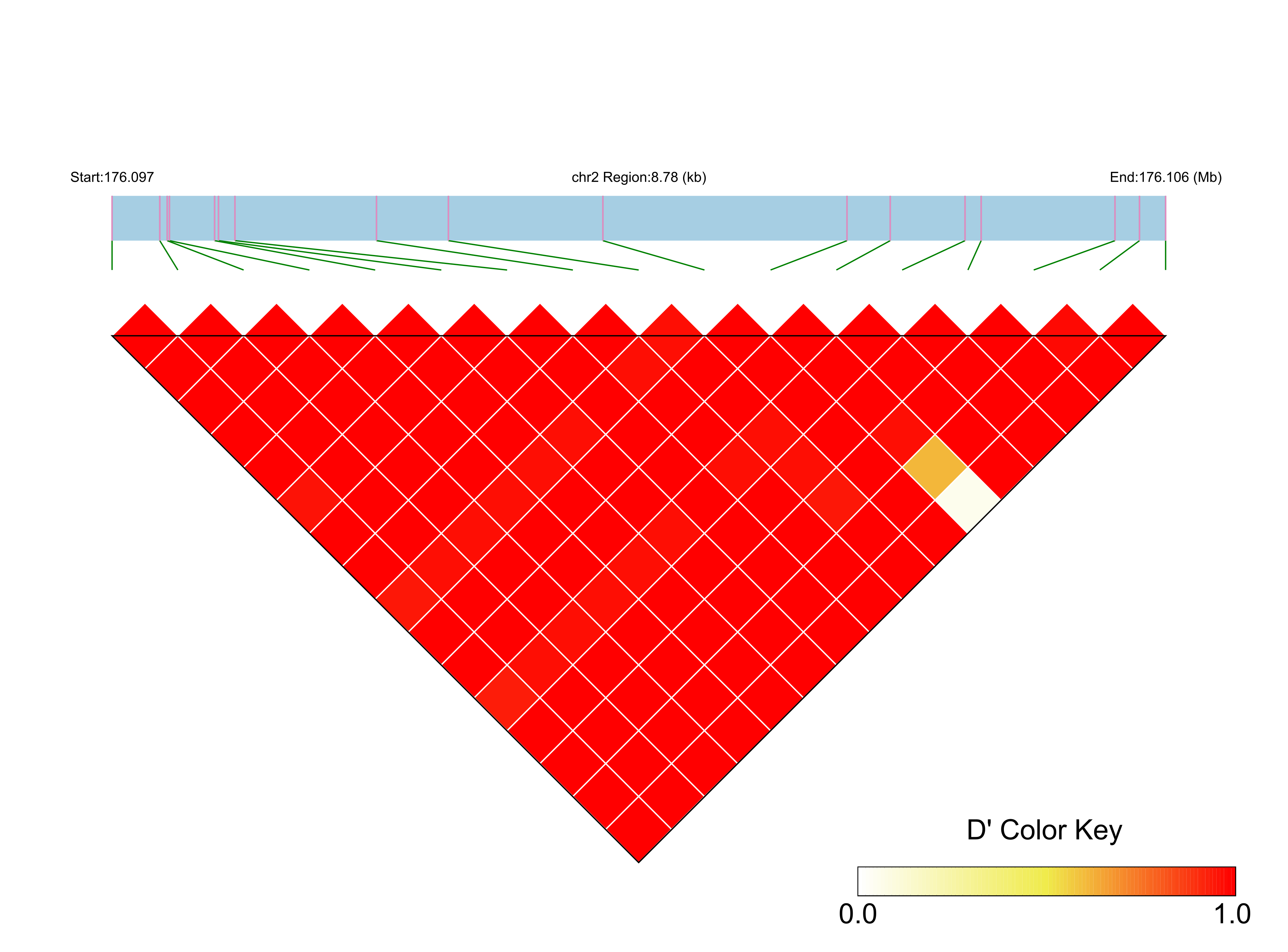LD