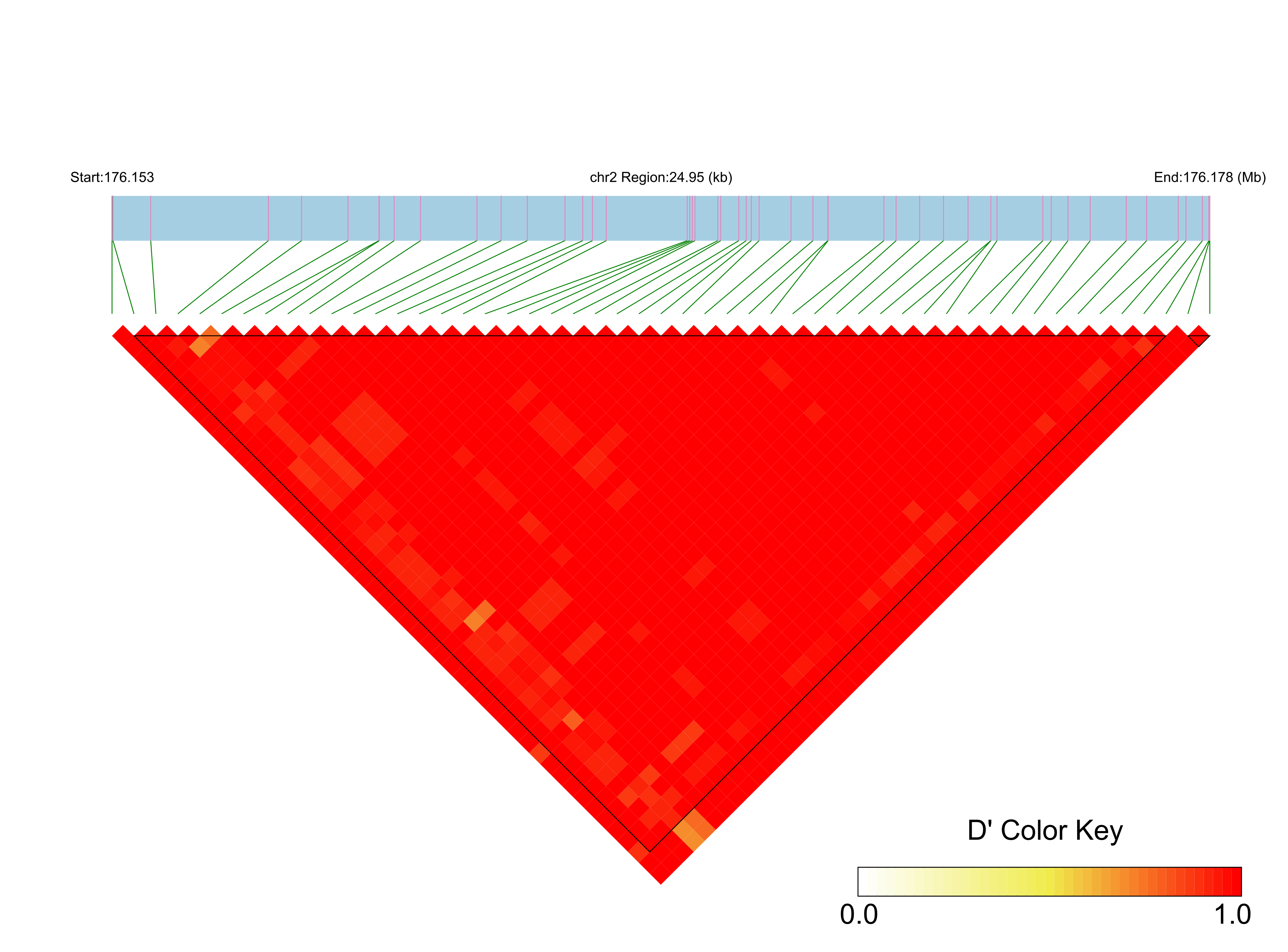 LD