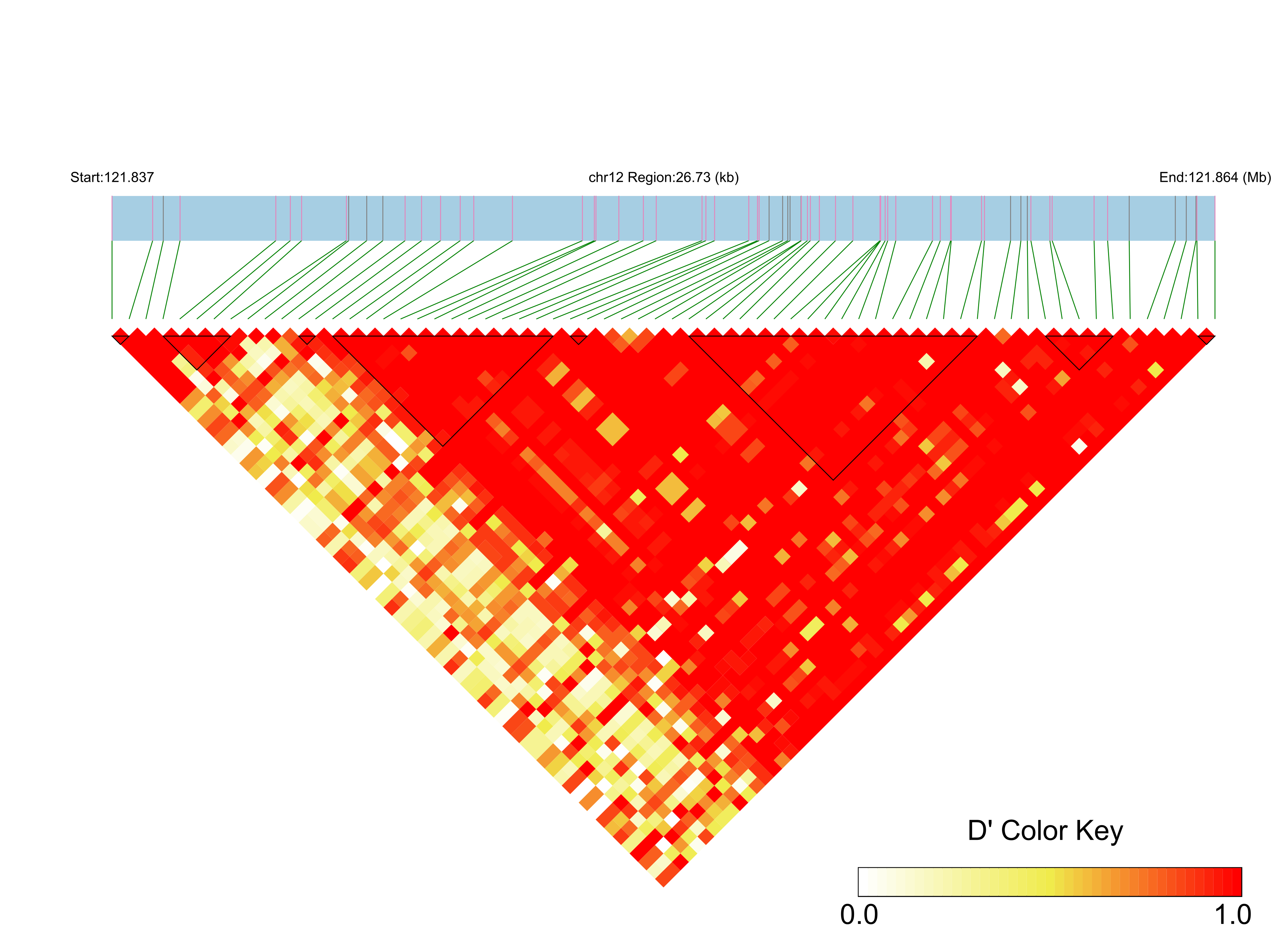 LD