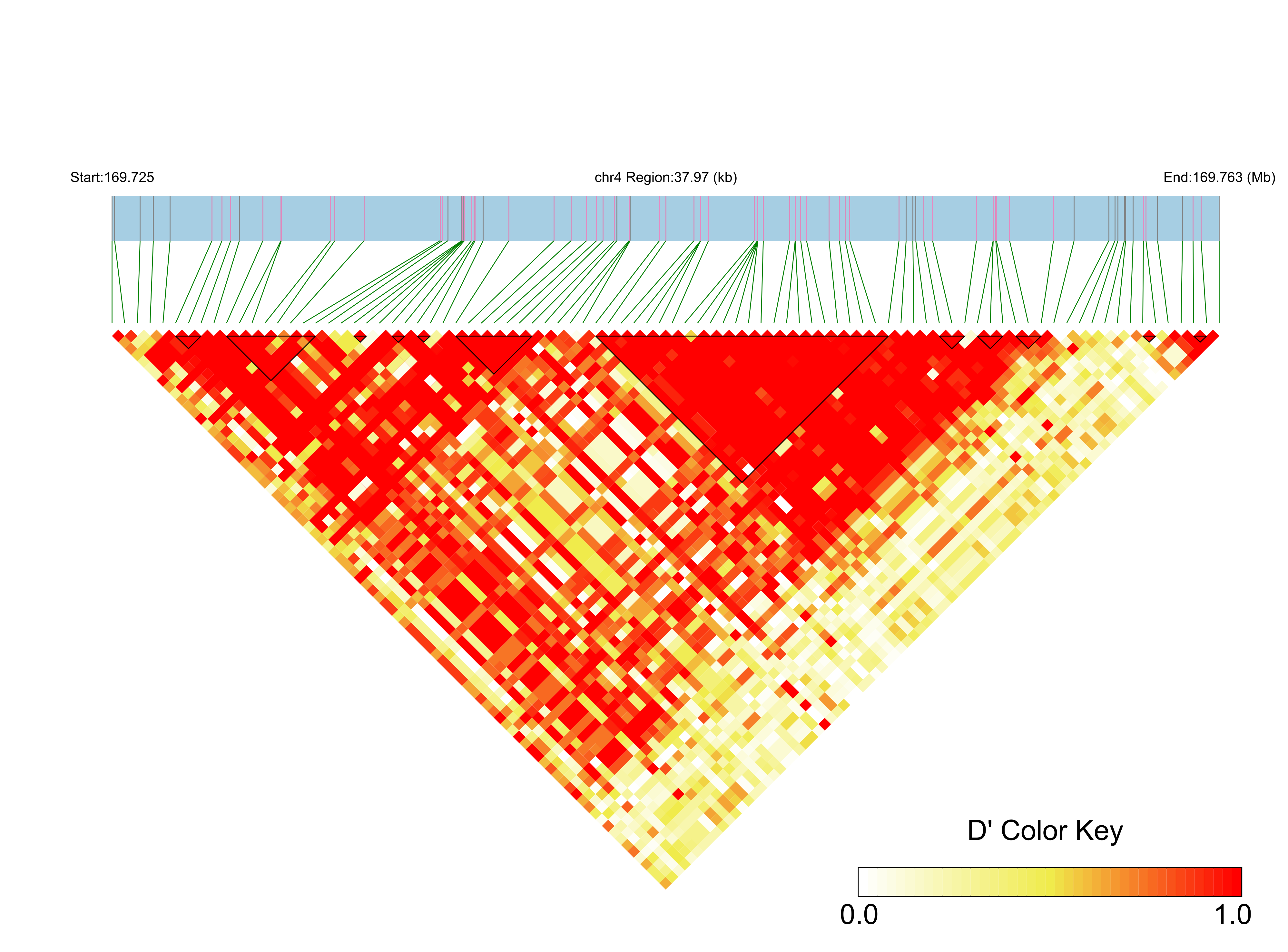 LD