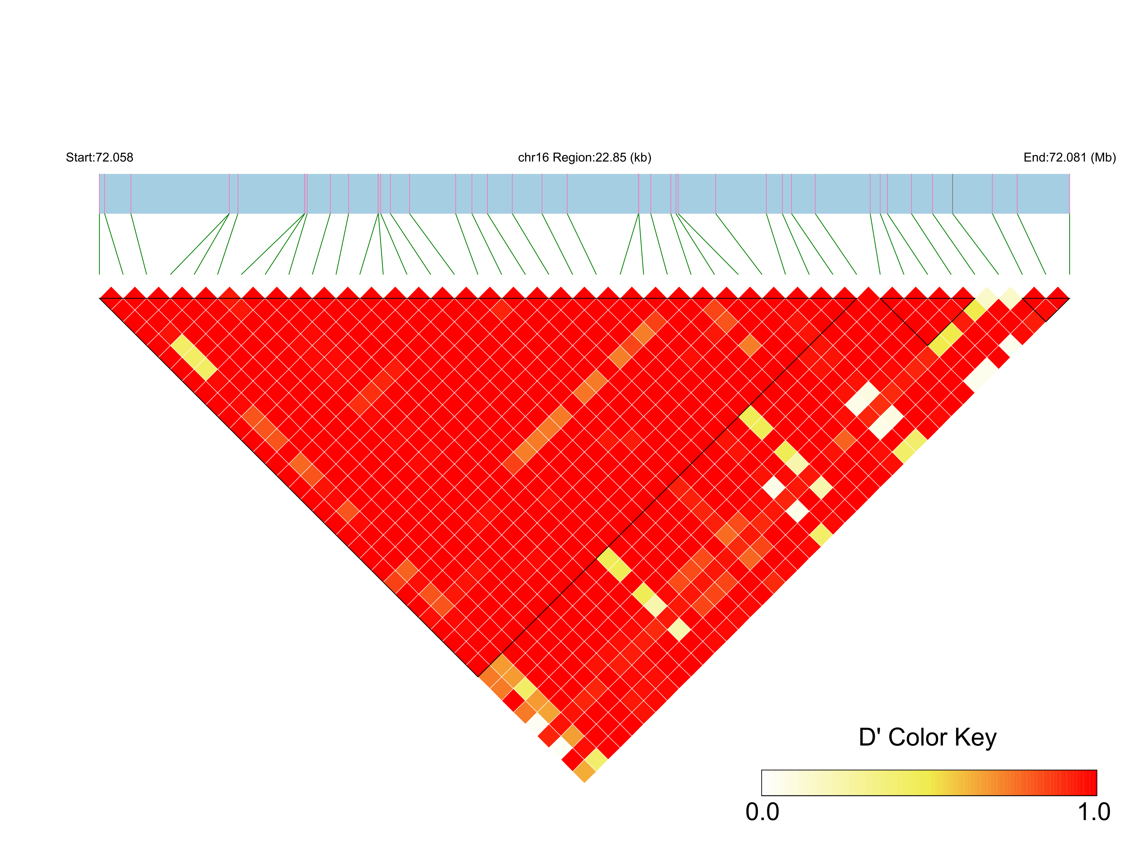 LD