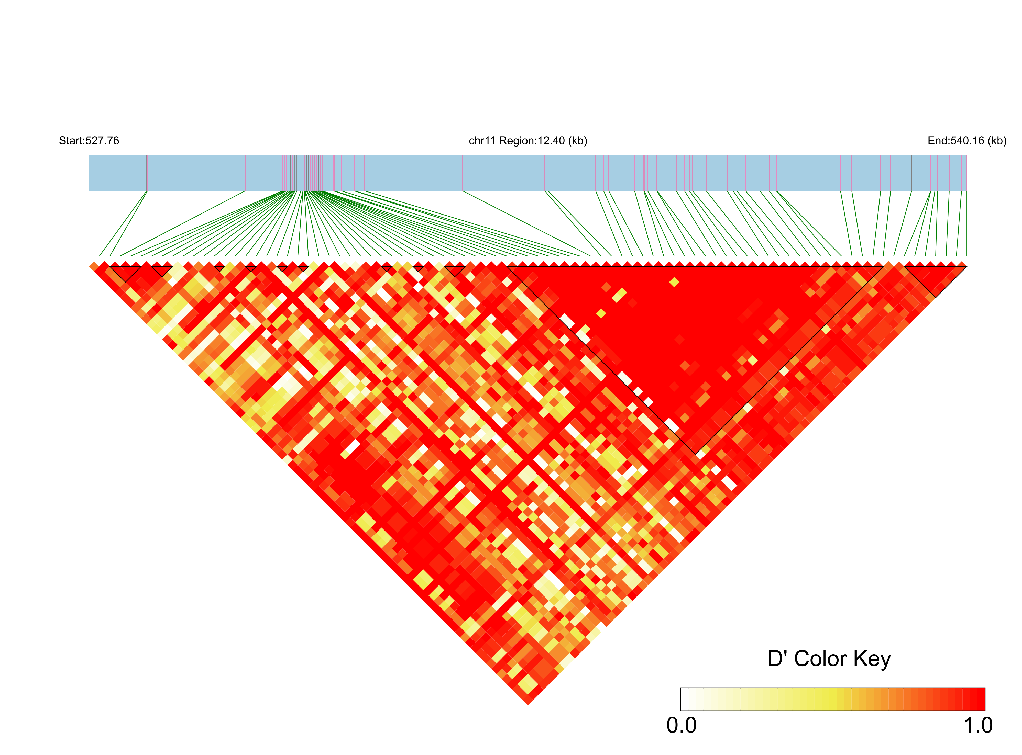 LD