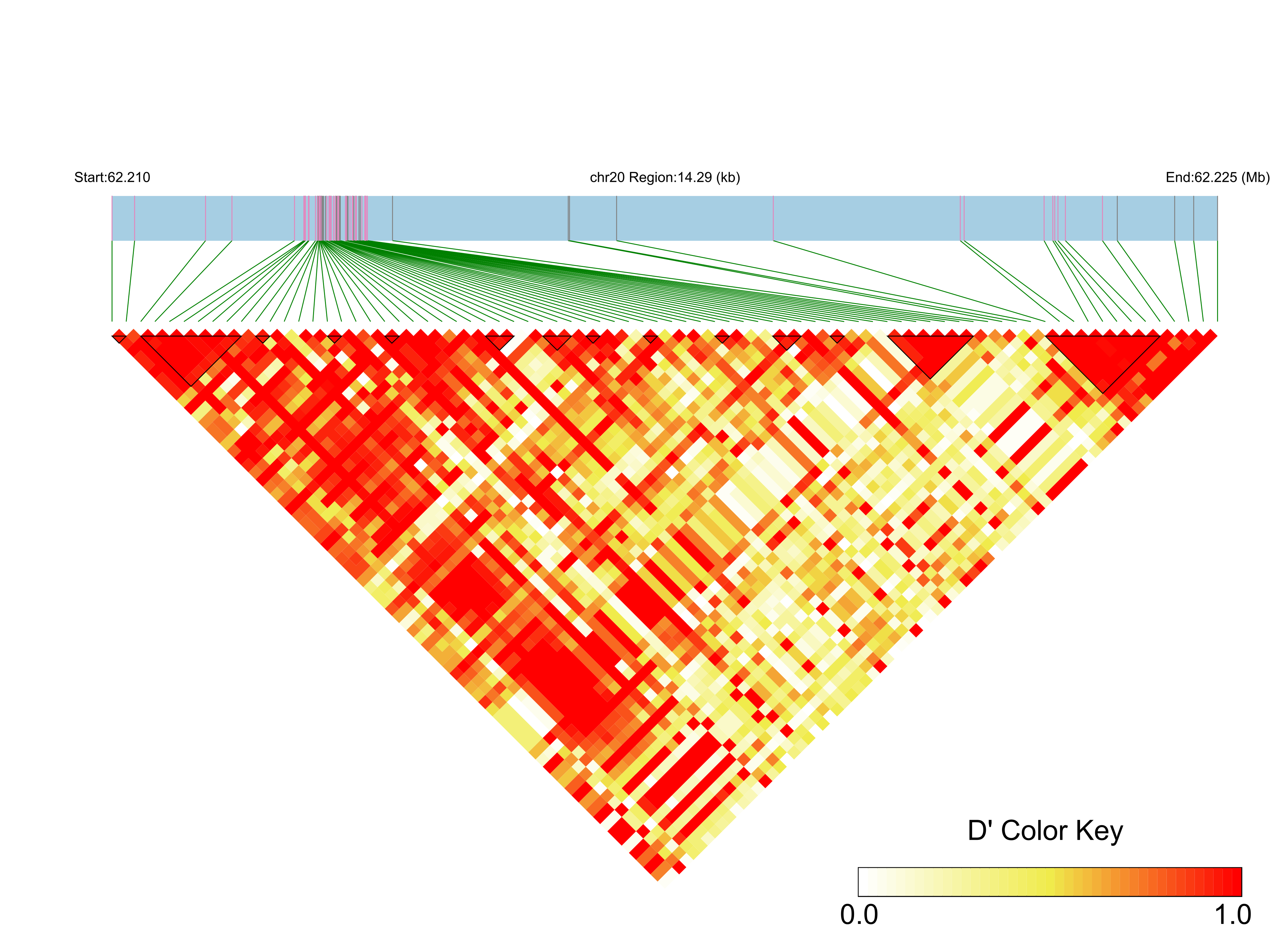 LD