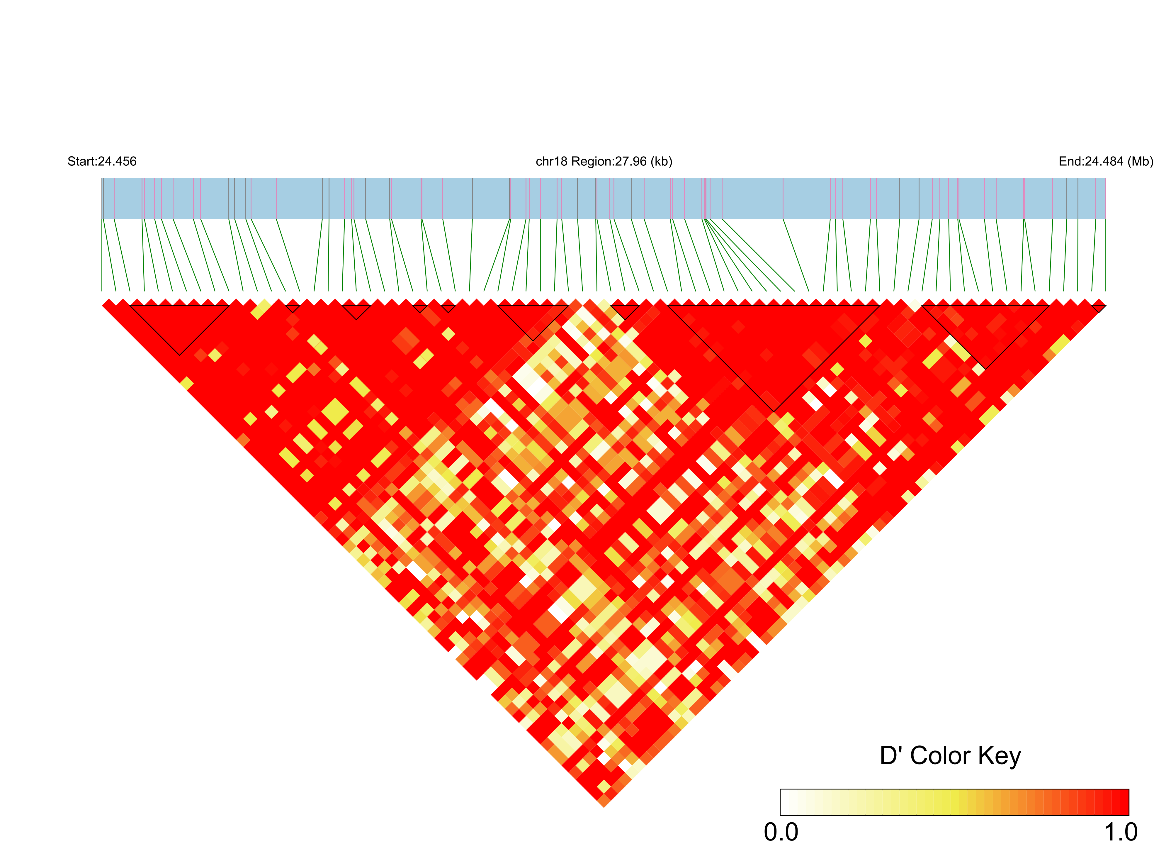 LD