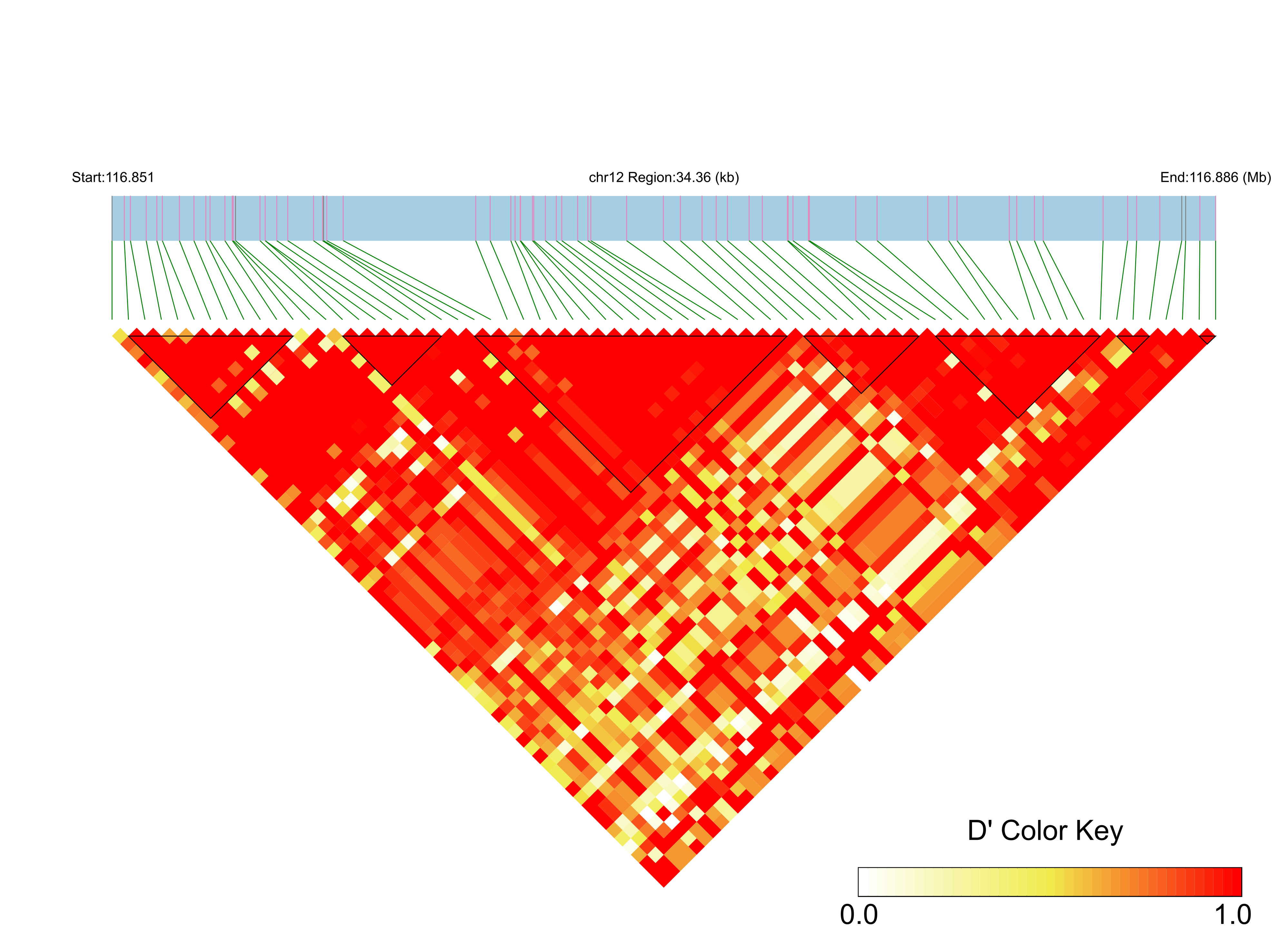 LD