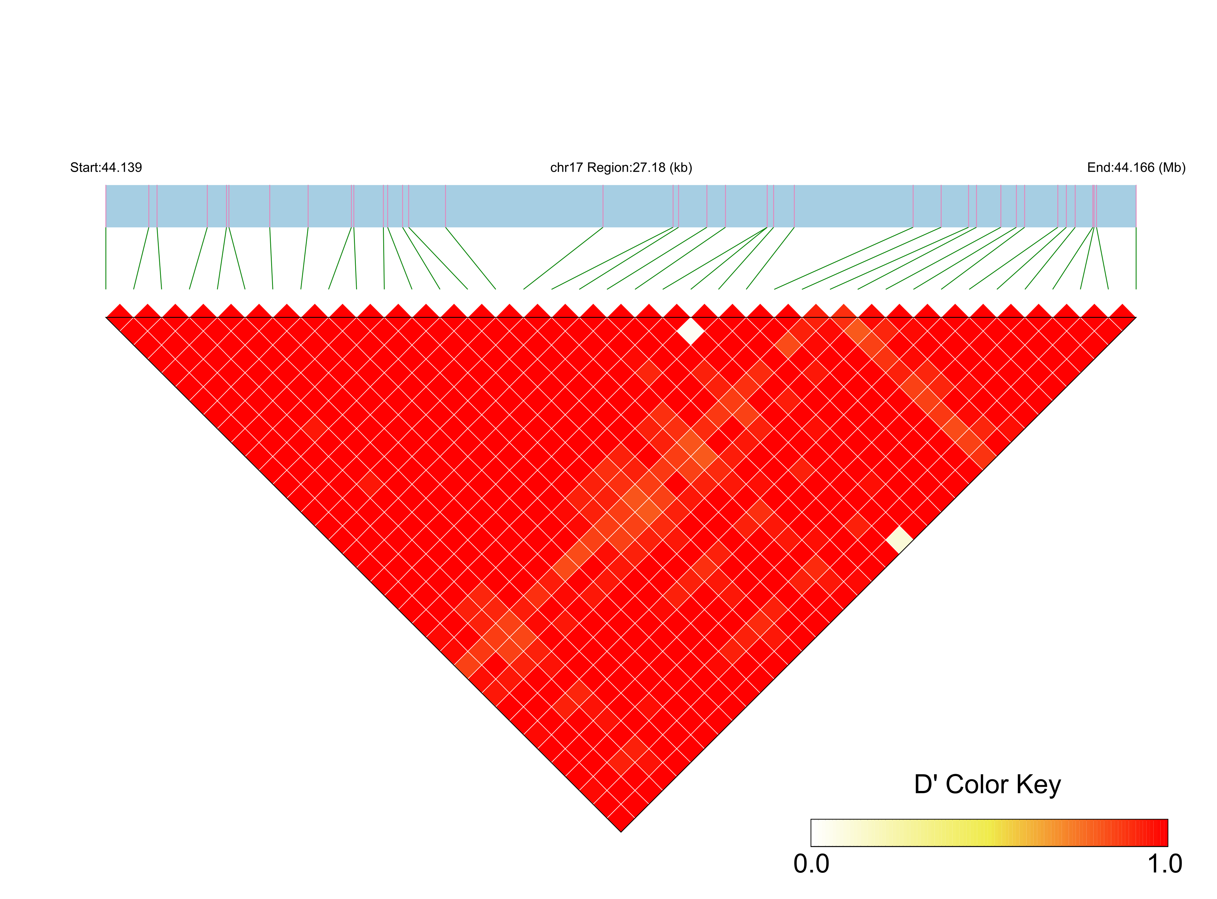 LD