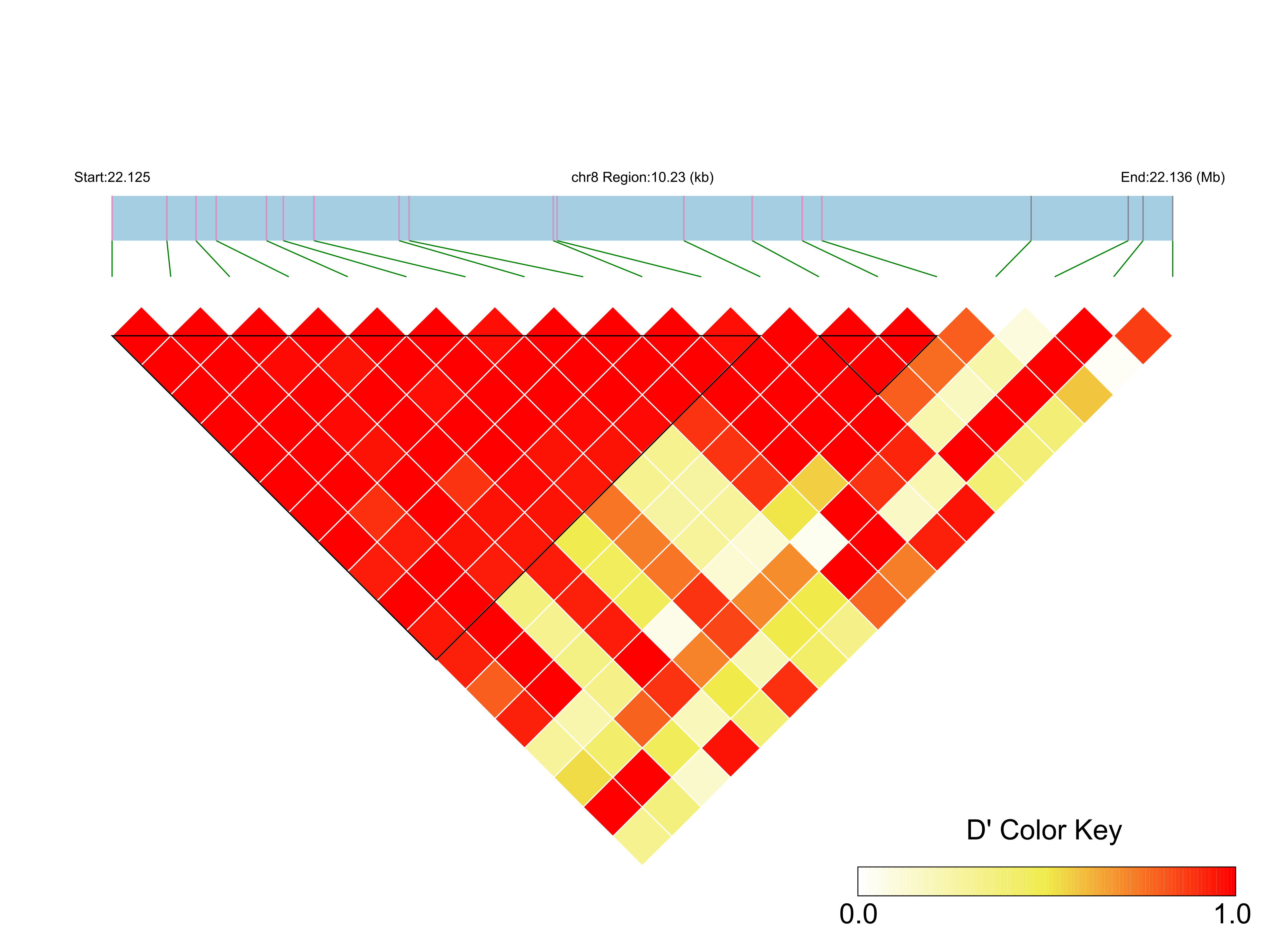 LD
