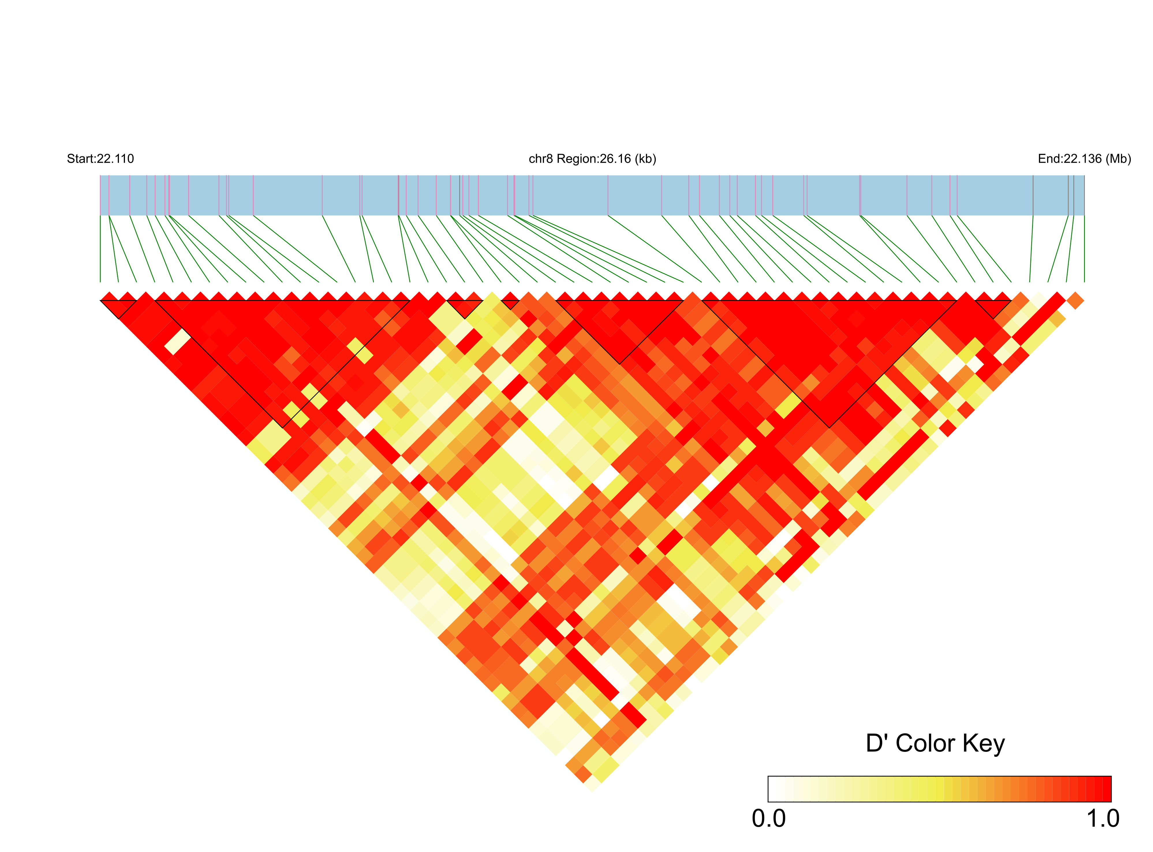 LD