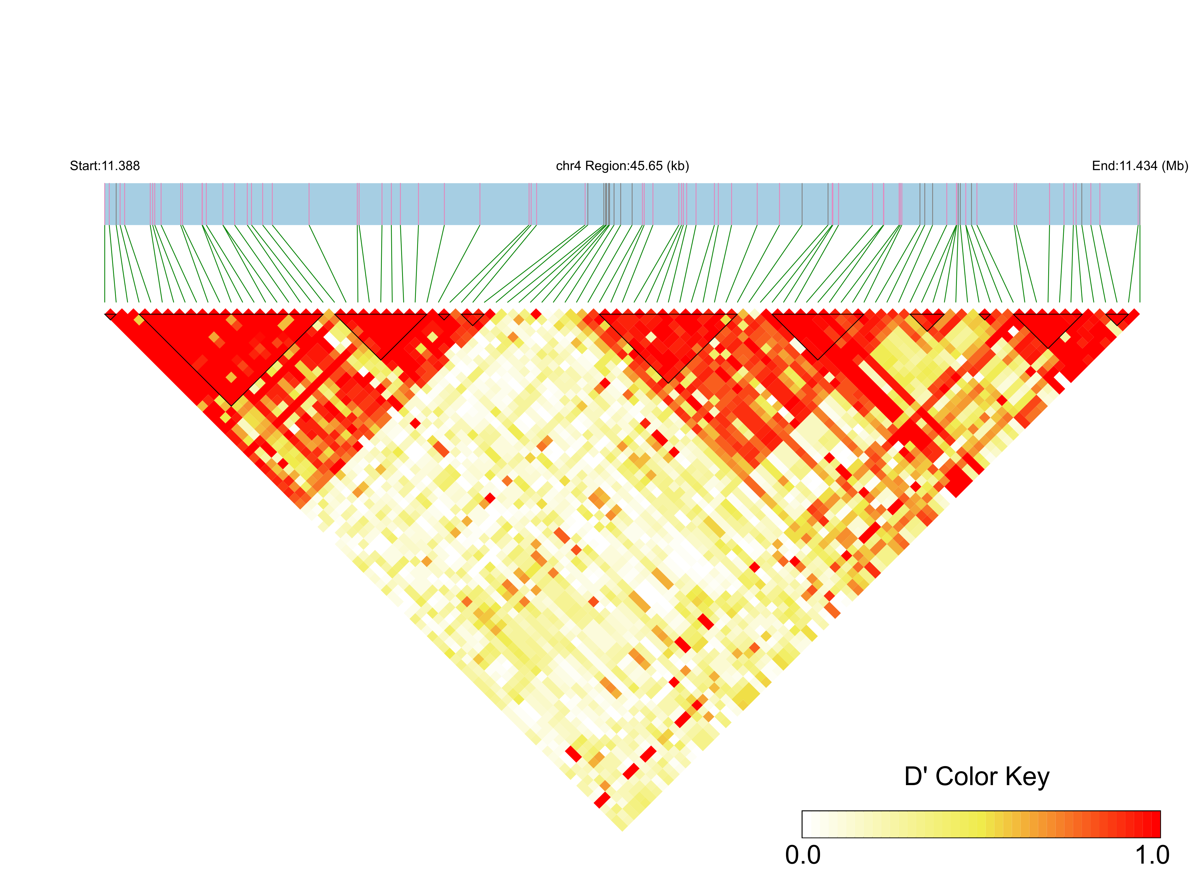 LD