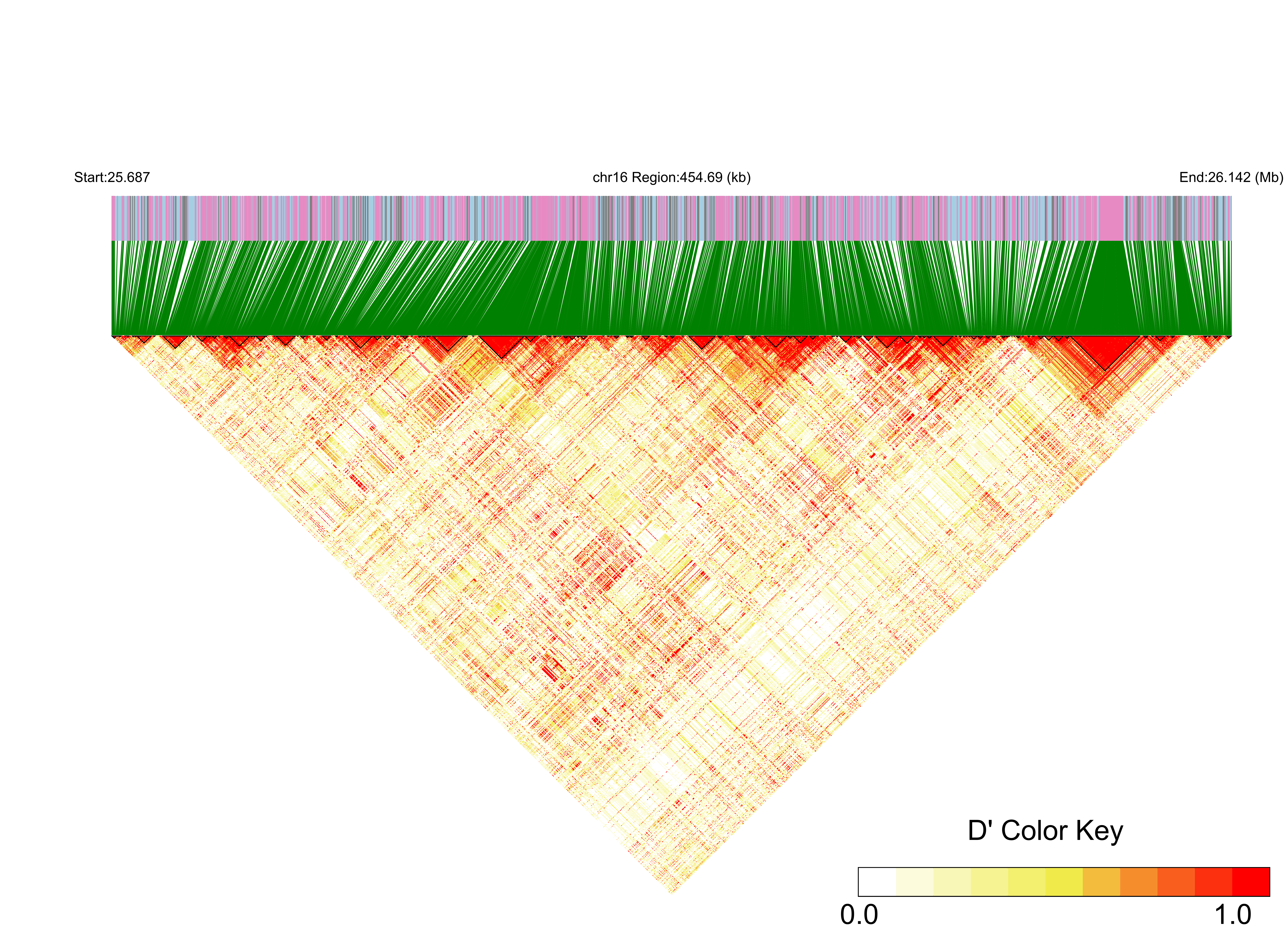 LD