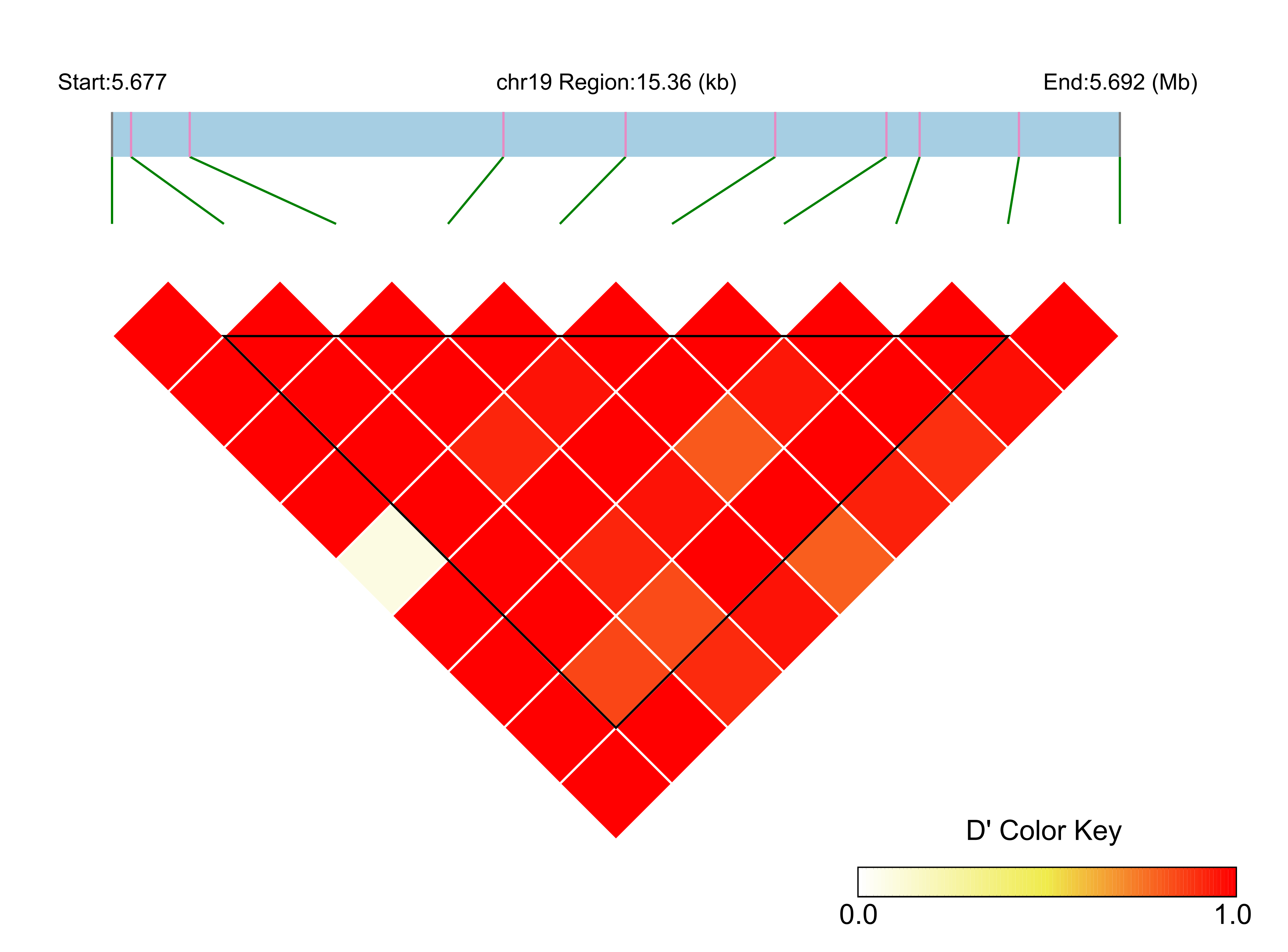 LD