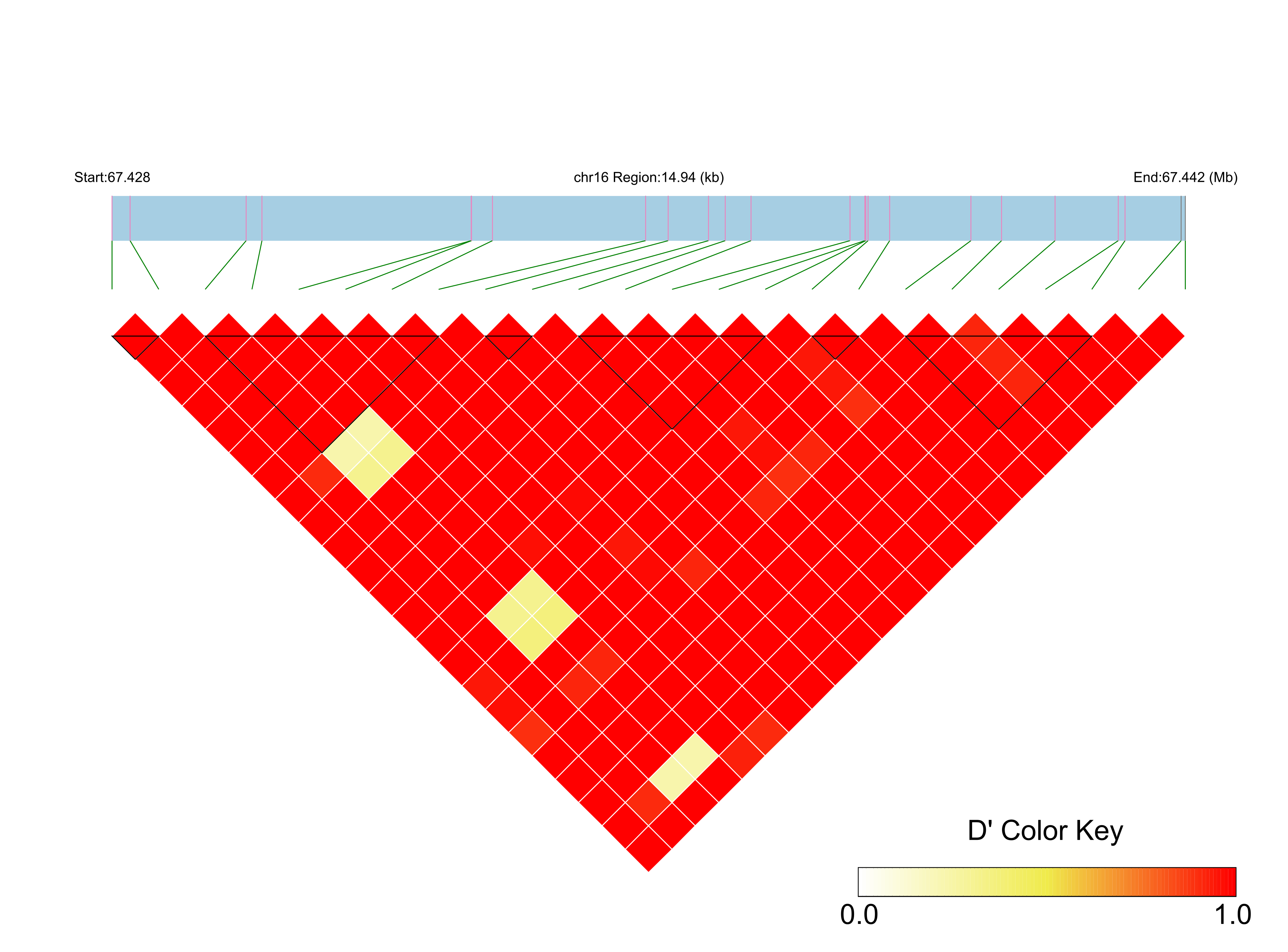 LD