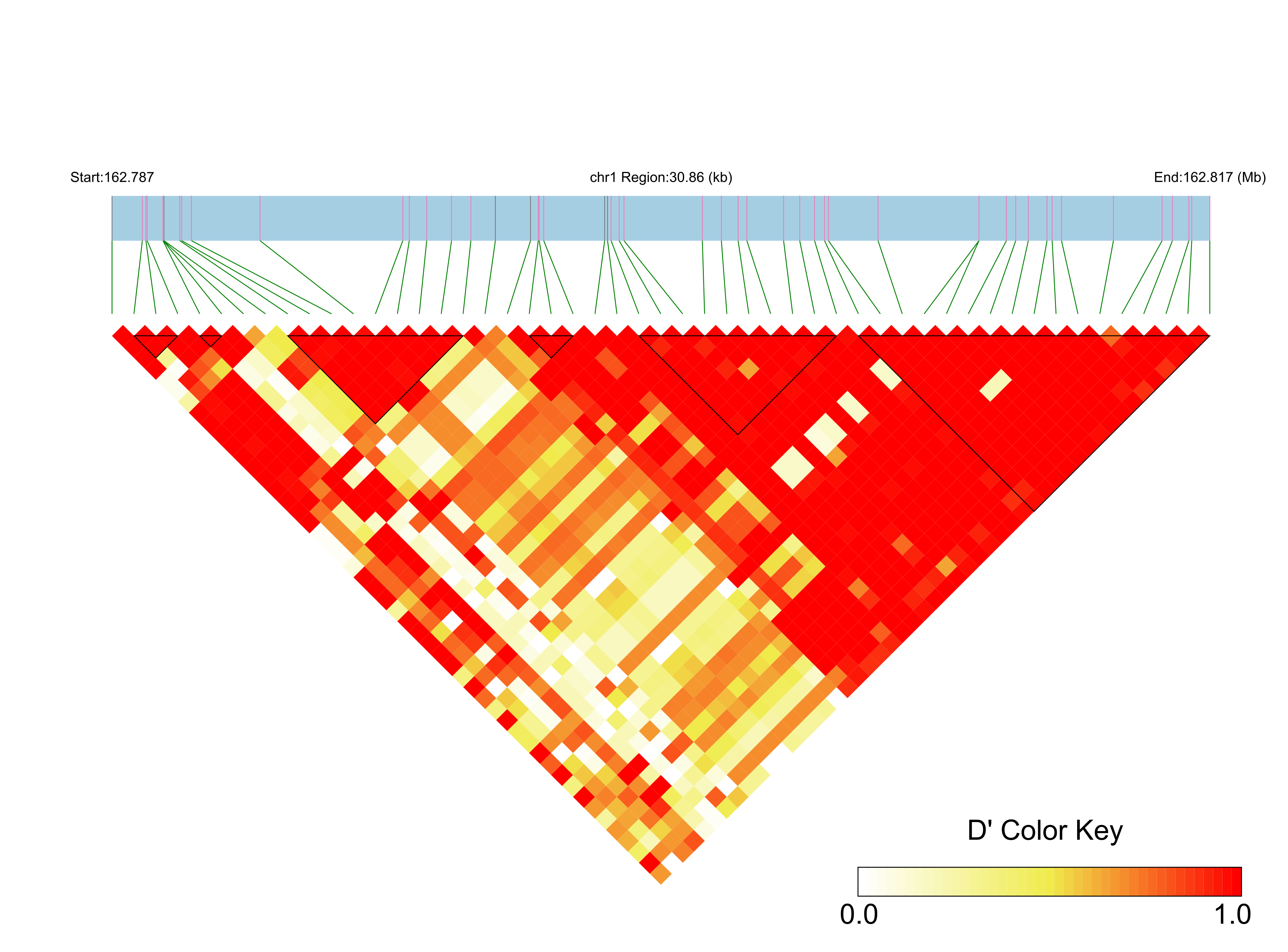 LD