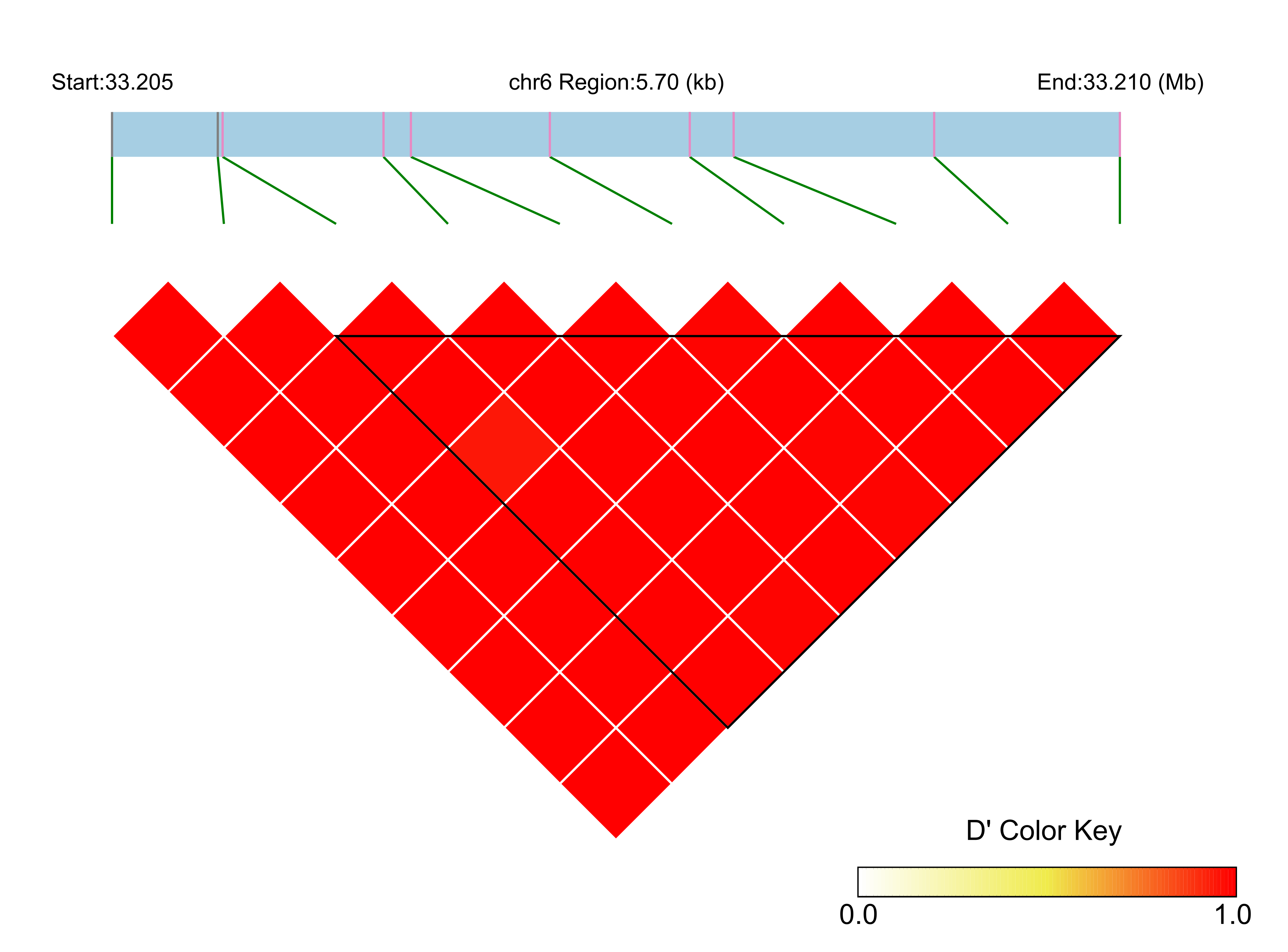 LD