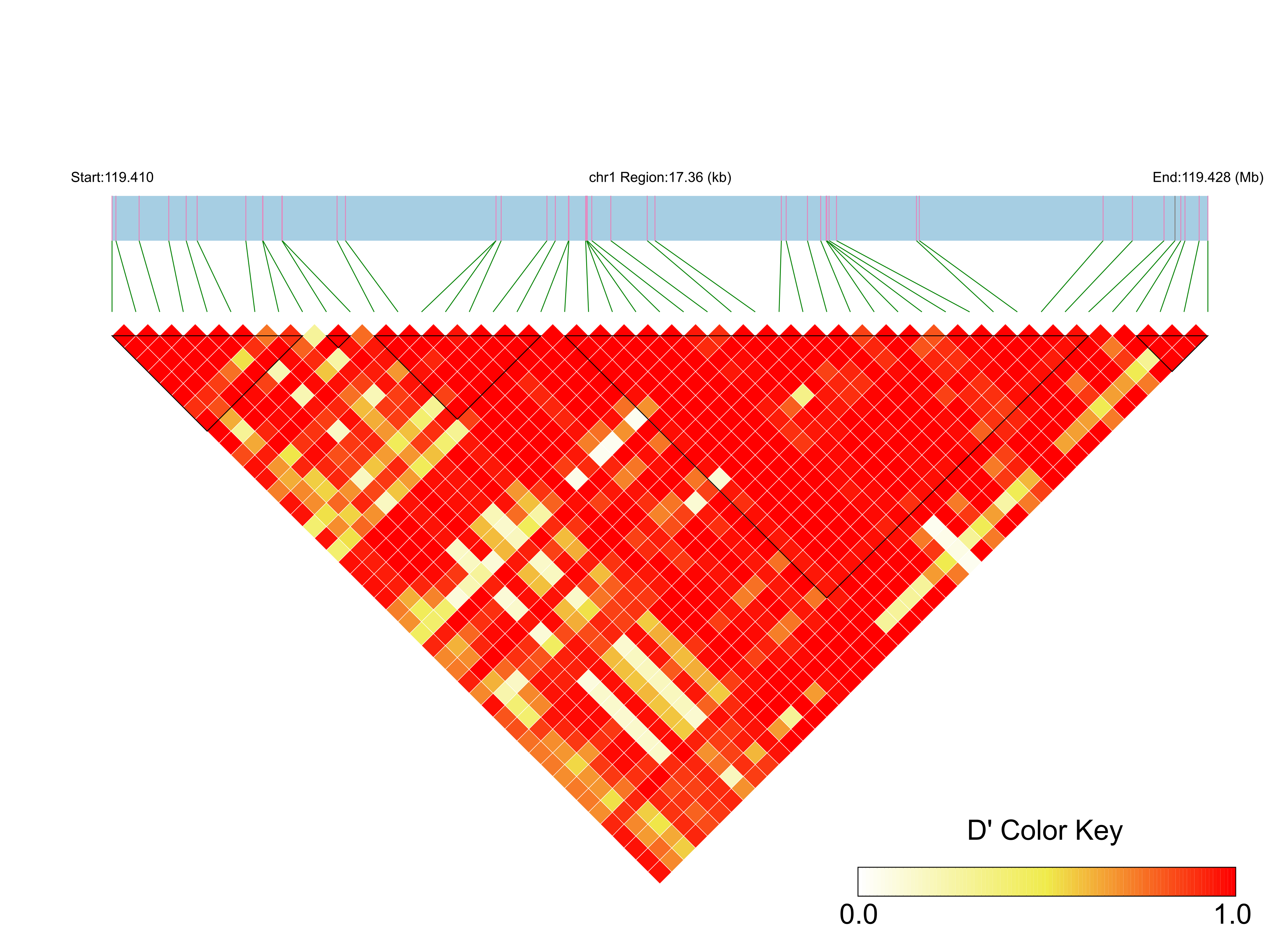 LD