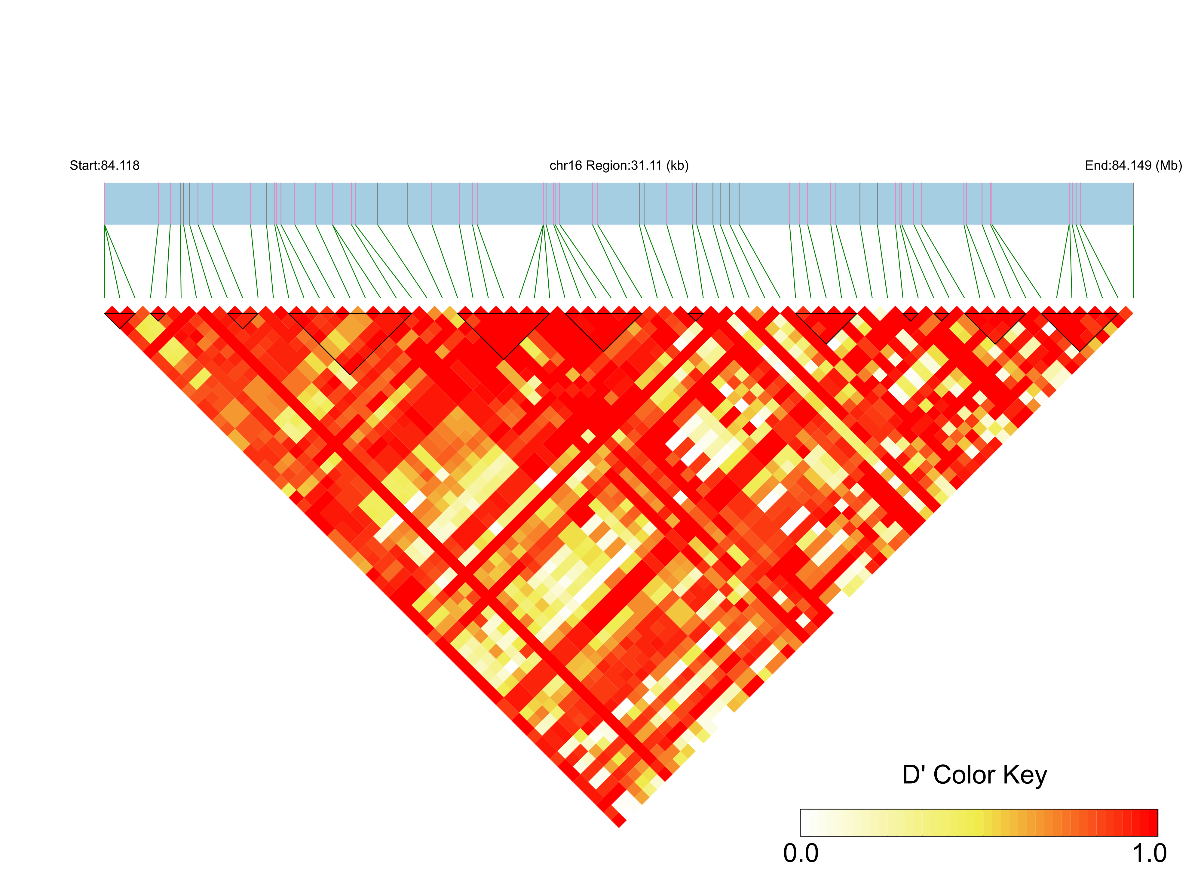 LD