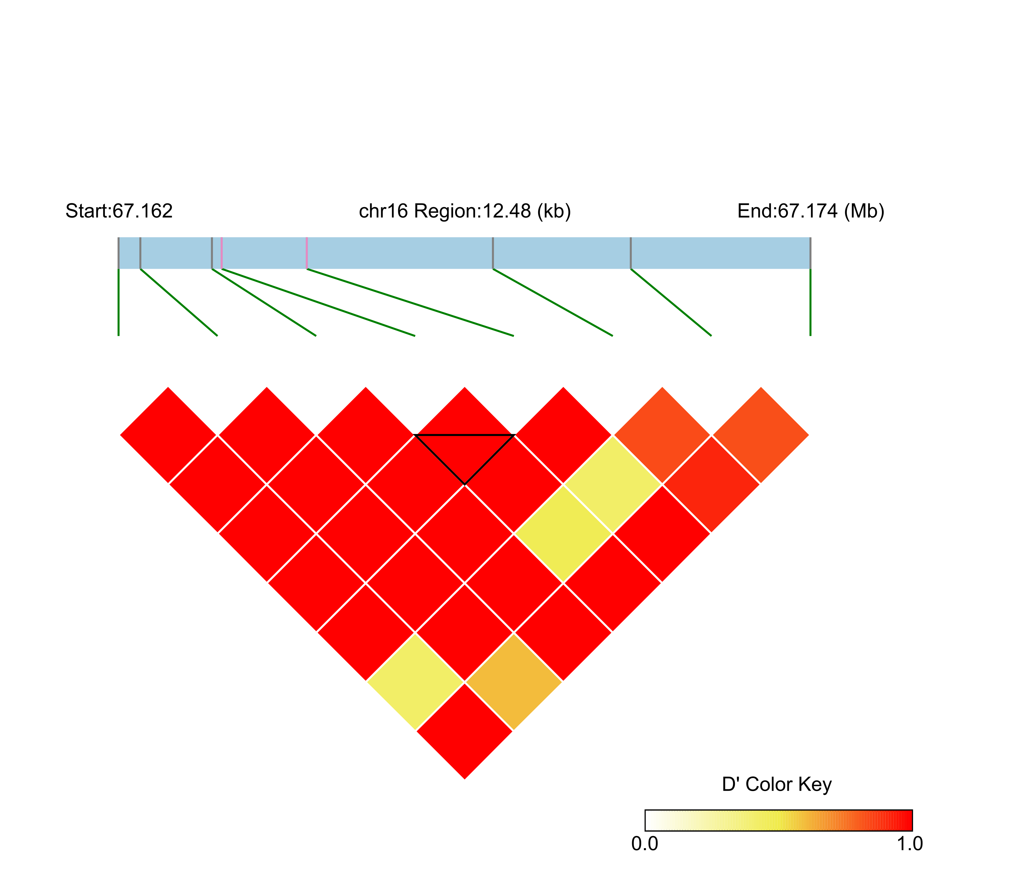 LD