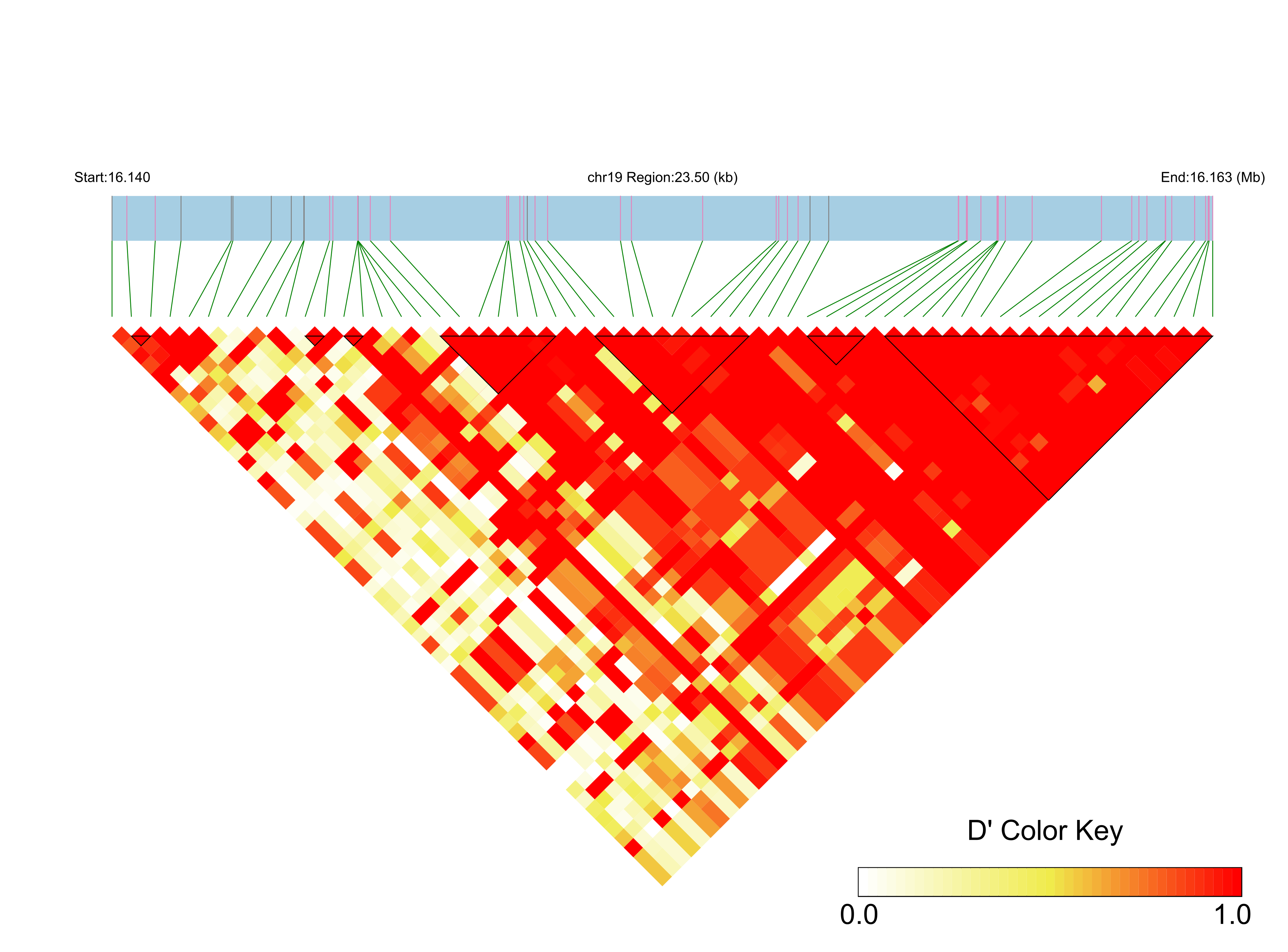 LD