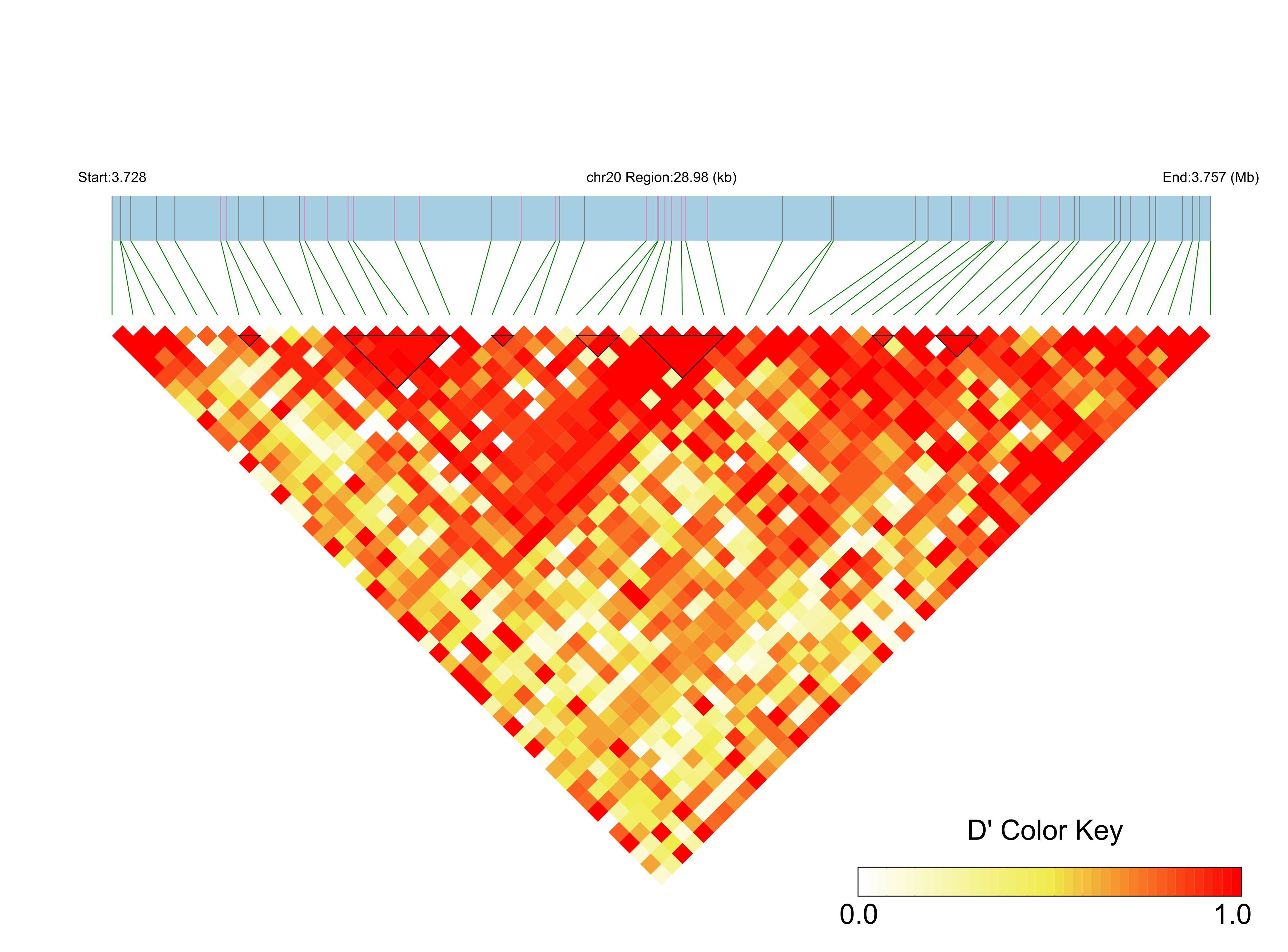 LD