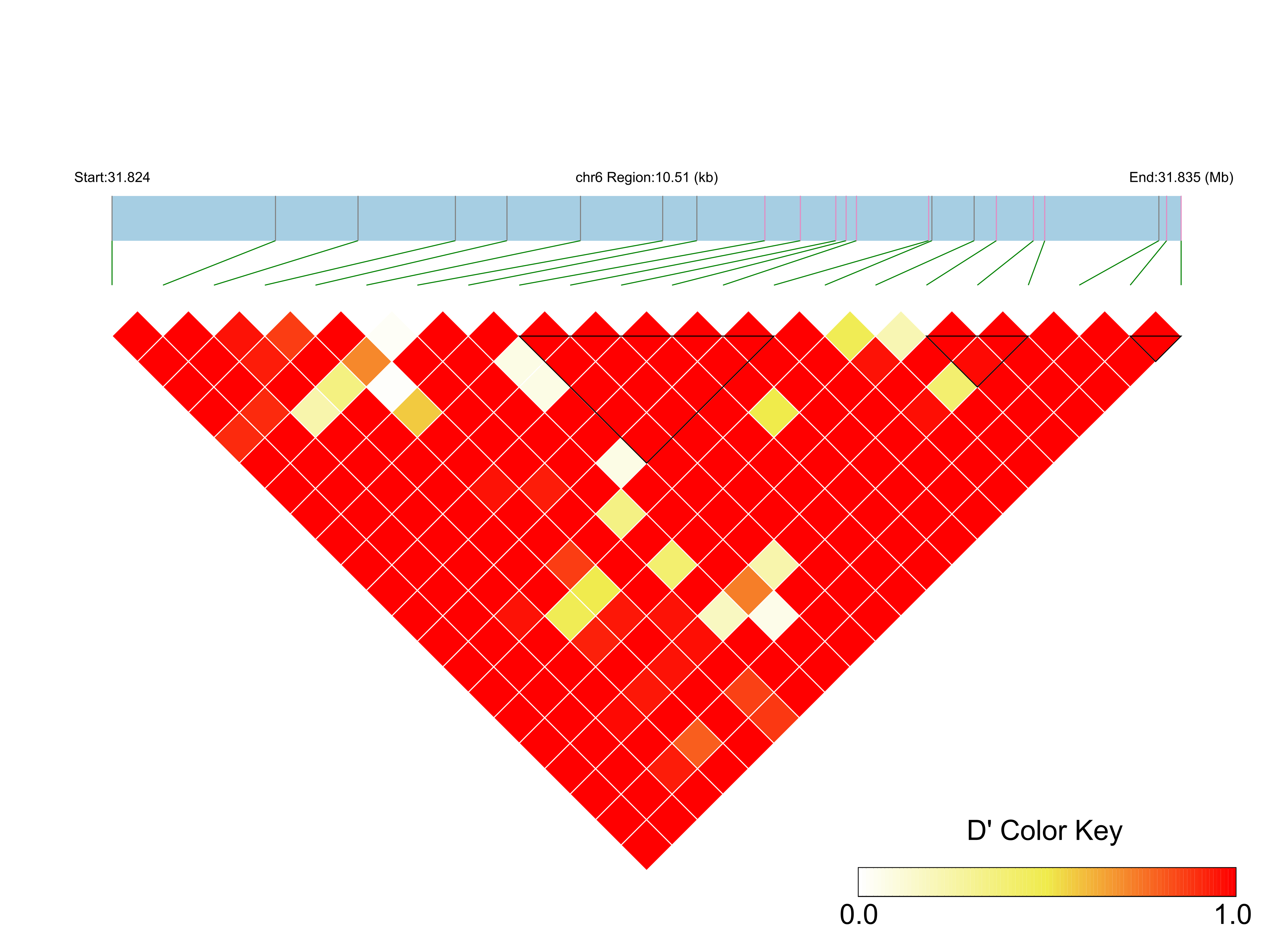 LD