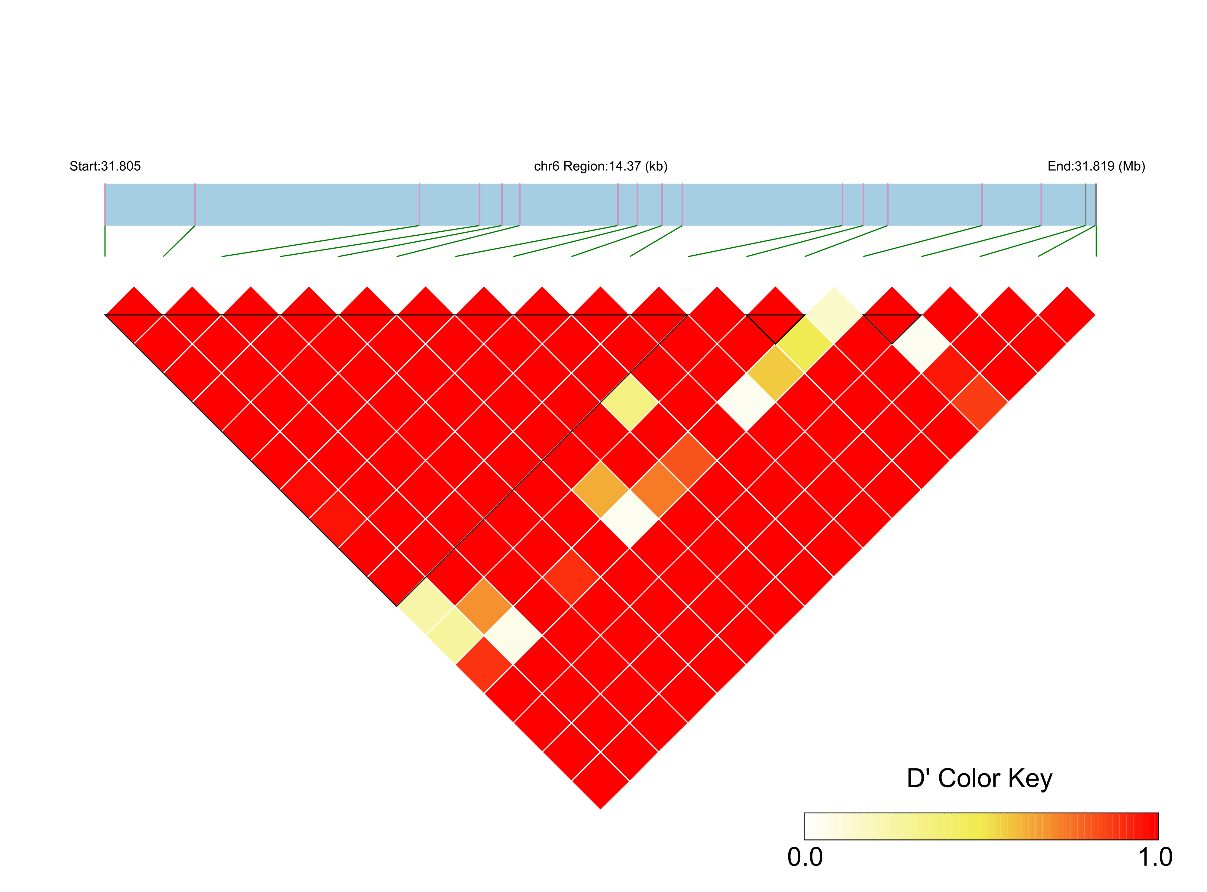 LD