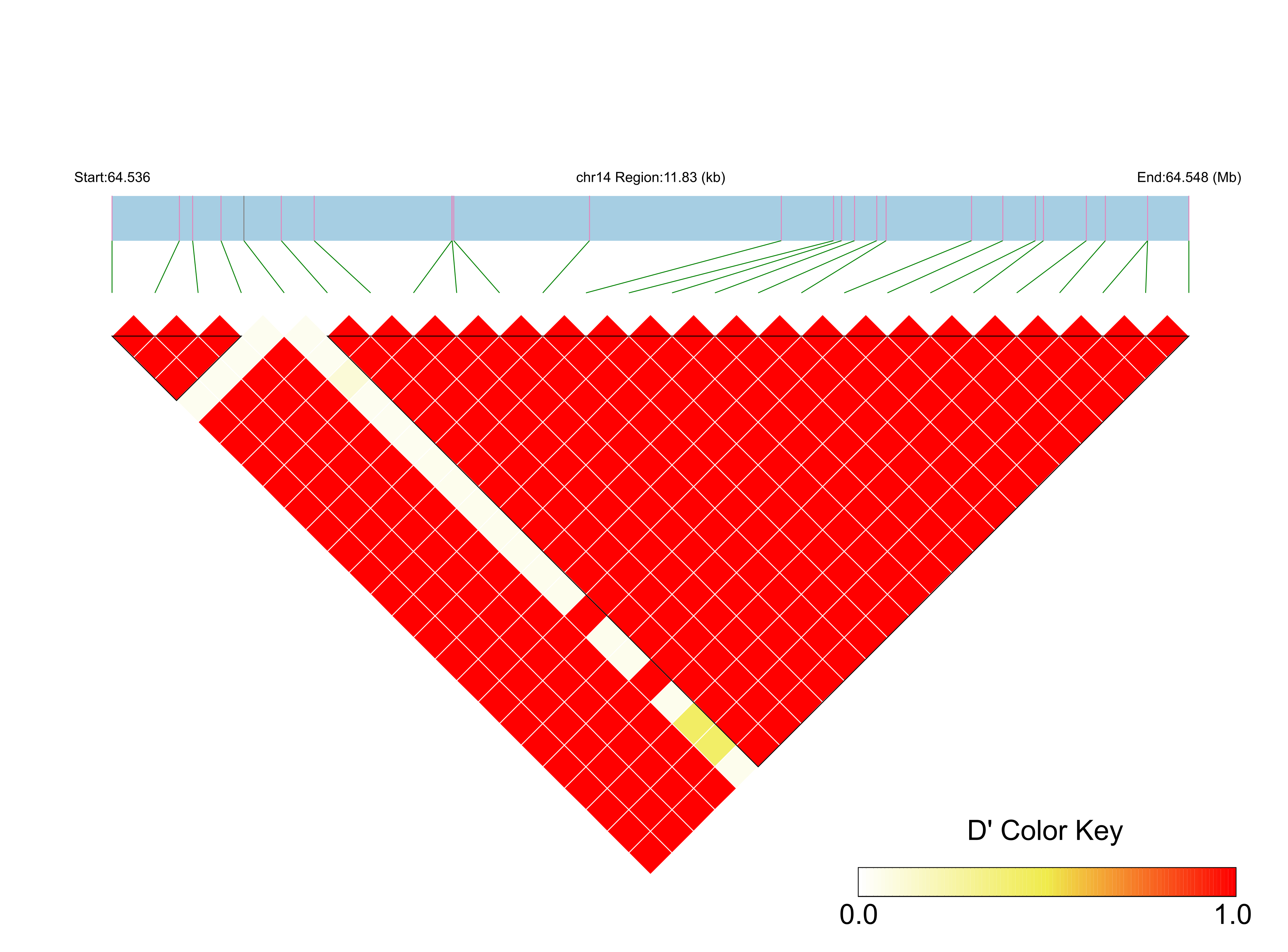 LD