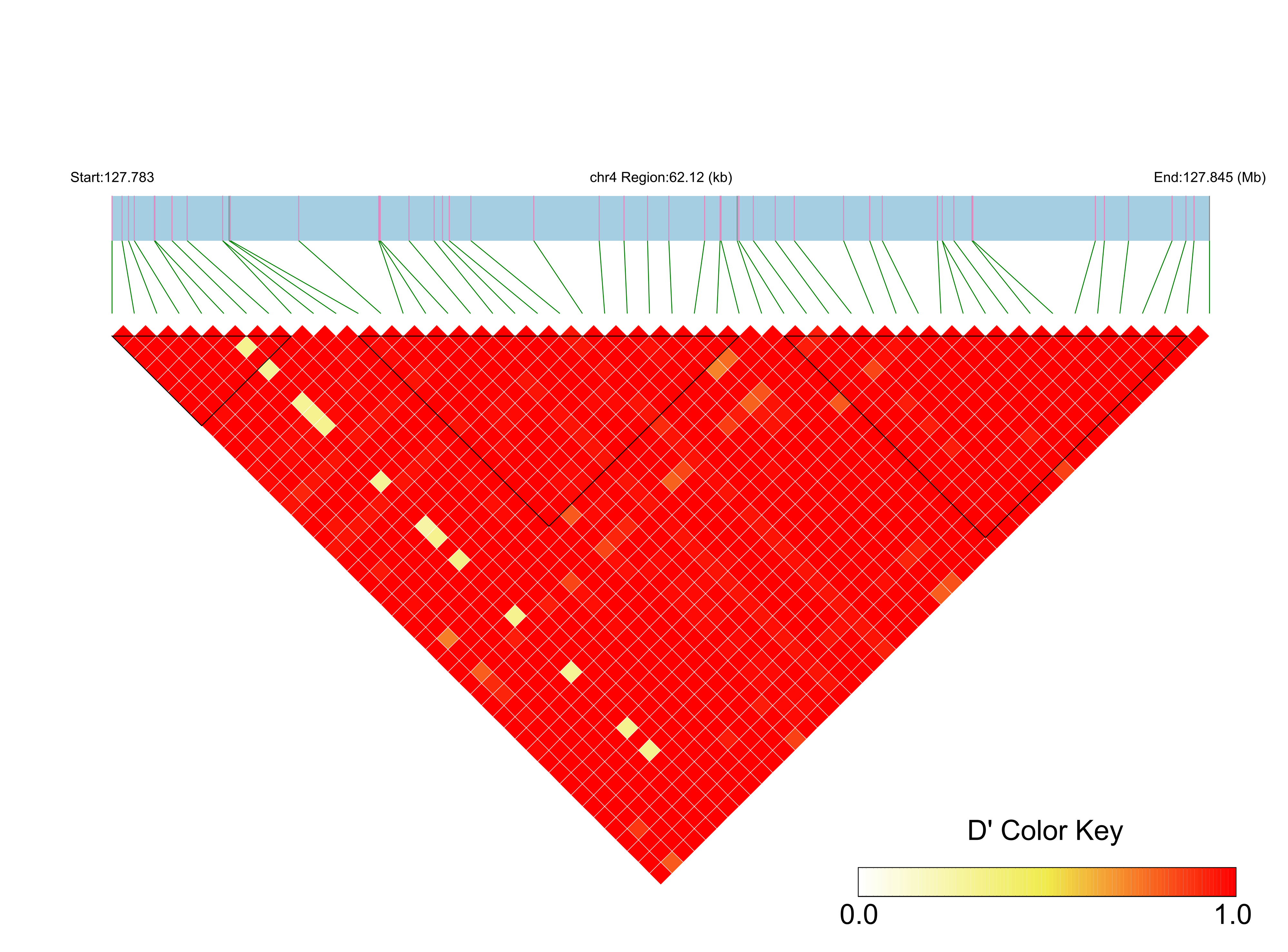 LD