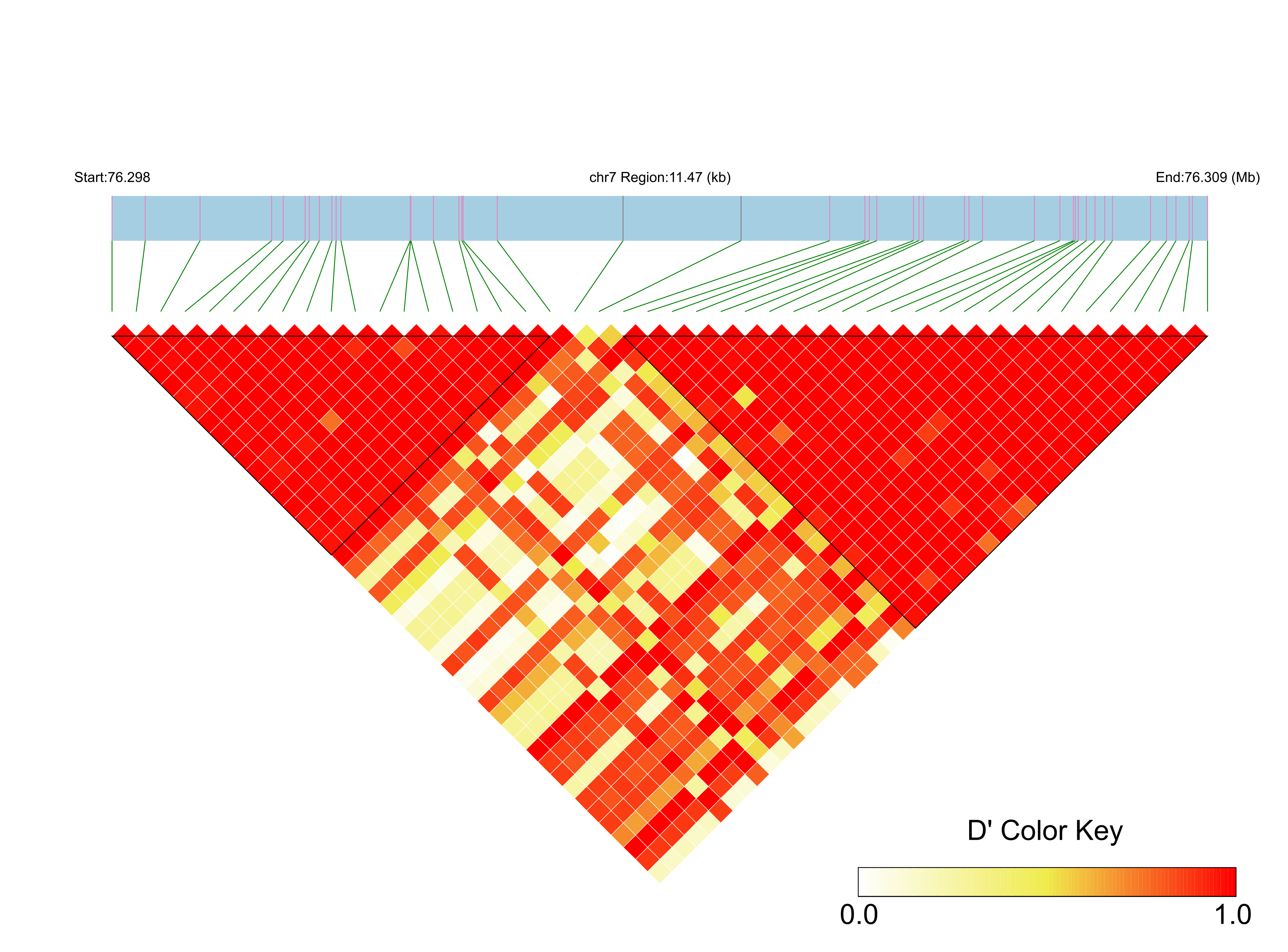 LD