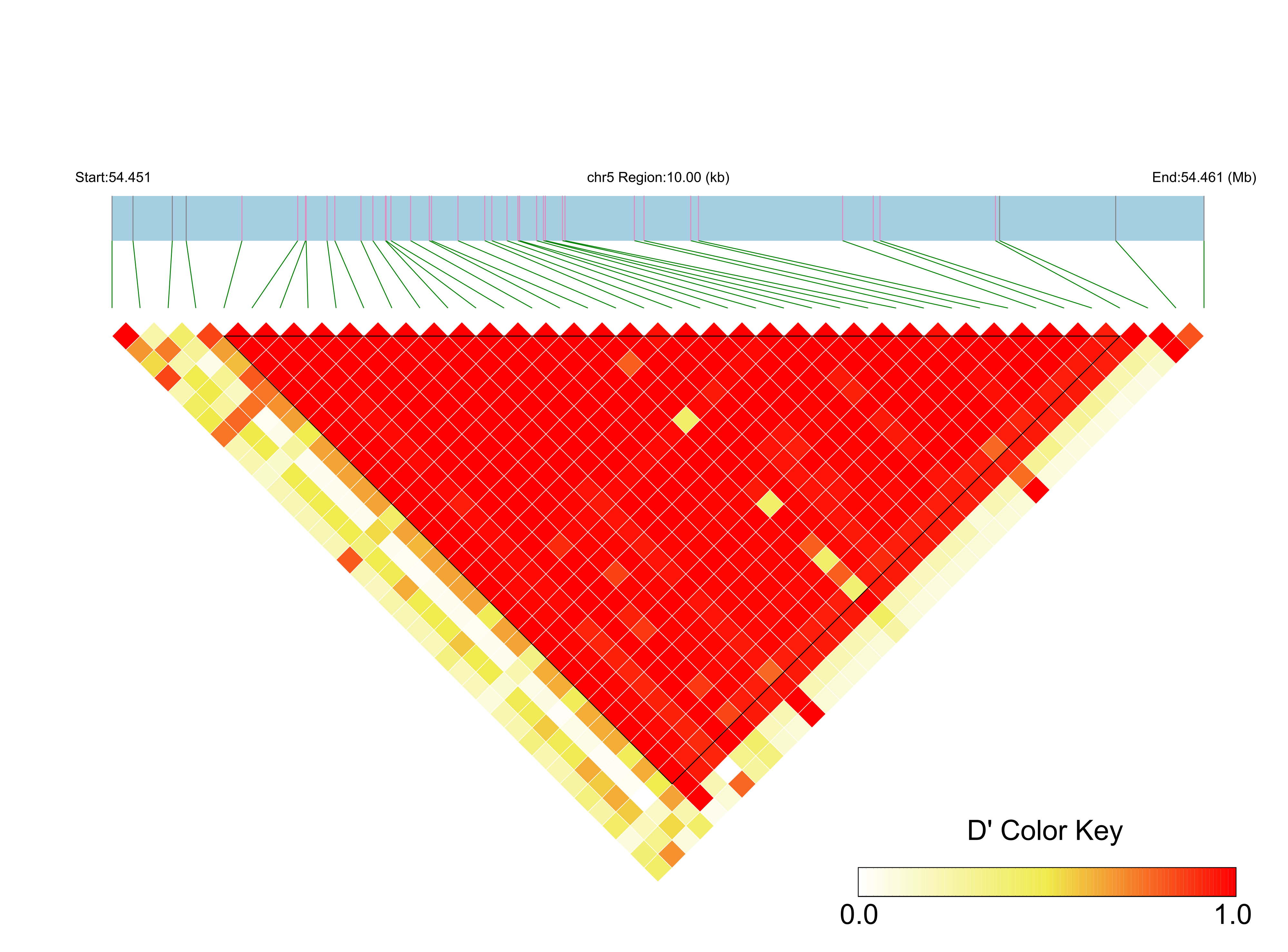 LD