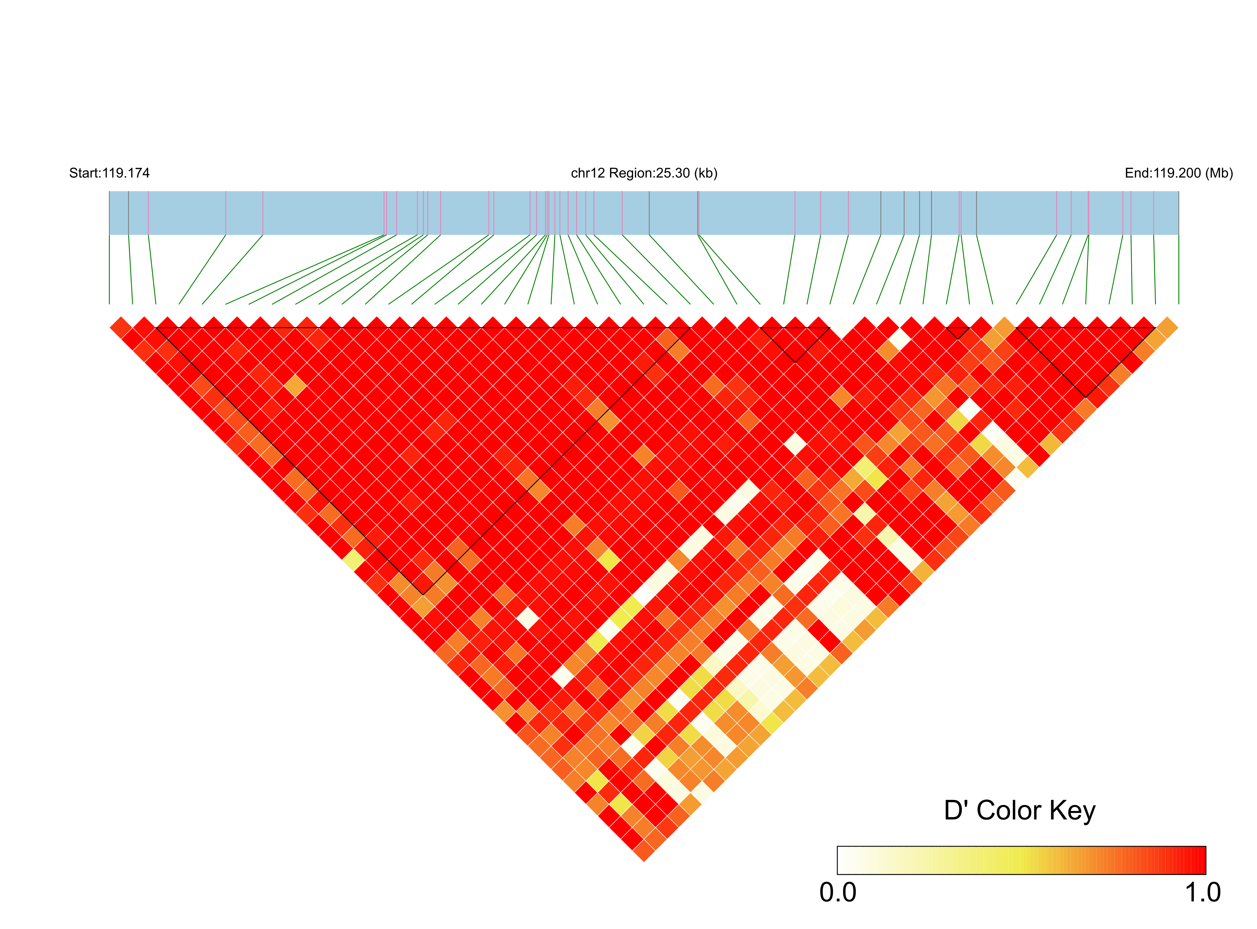 LD