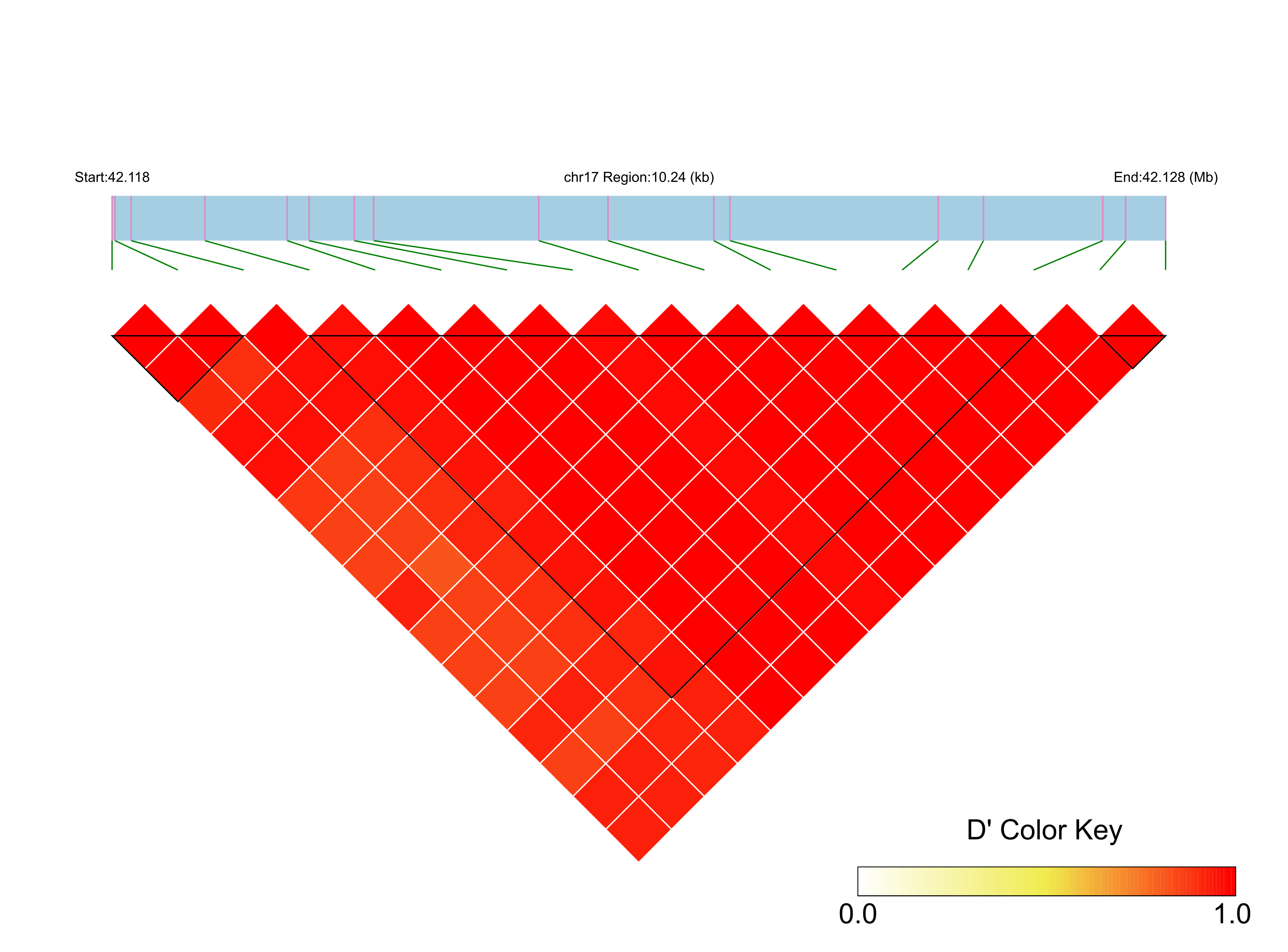 LD