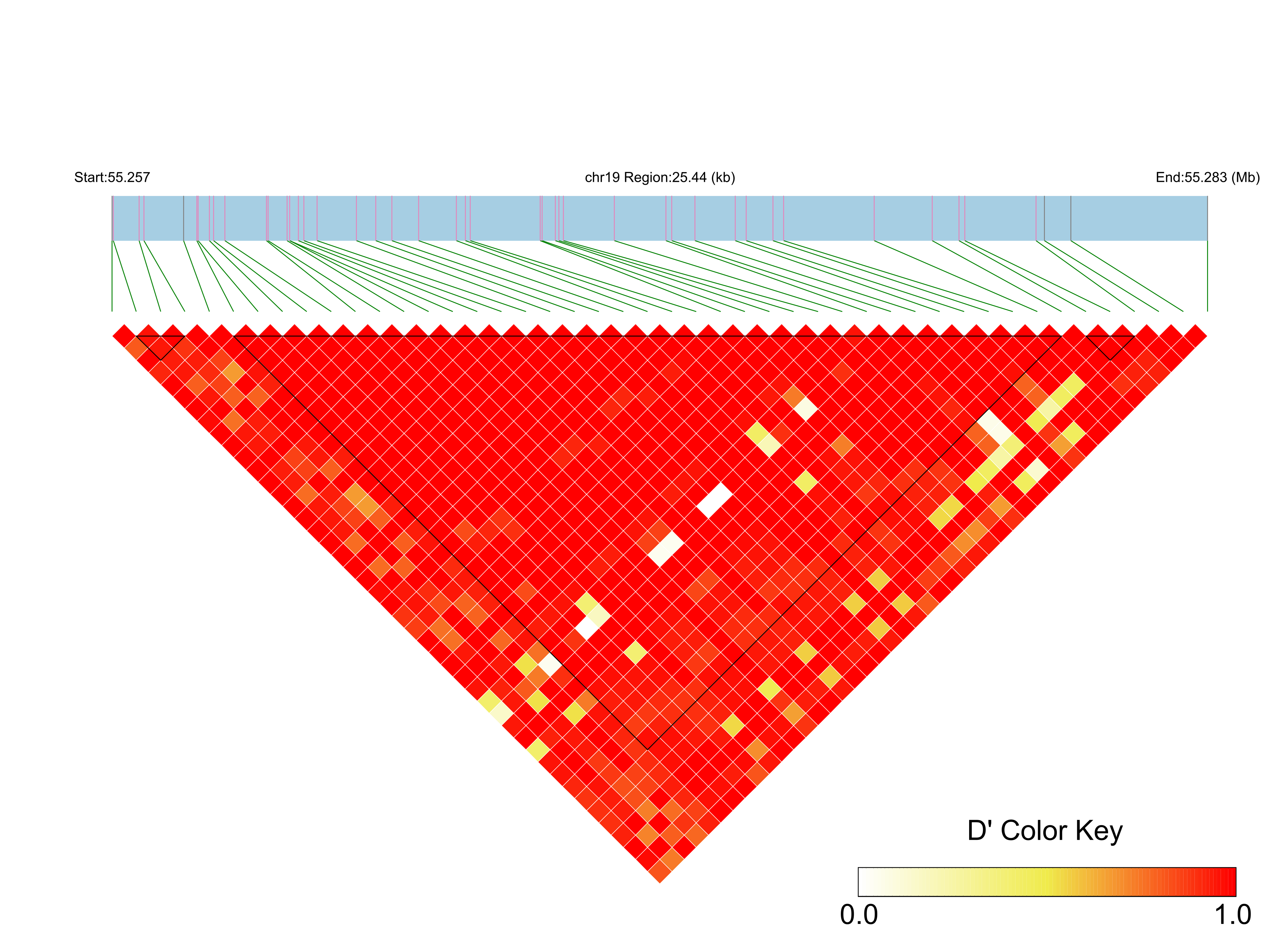 LD
